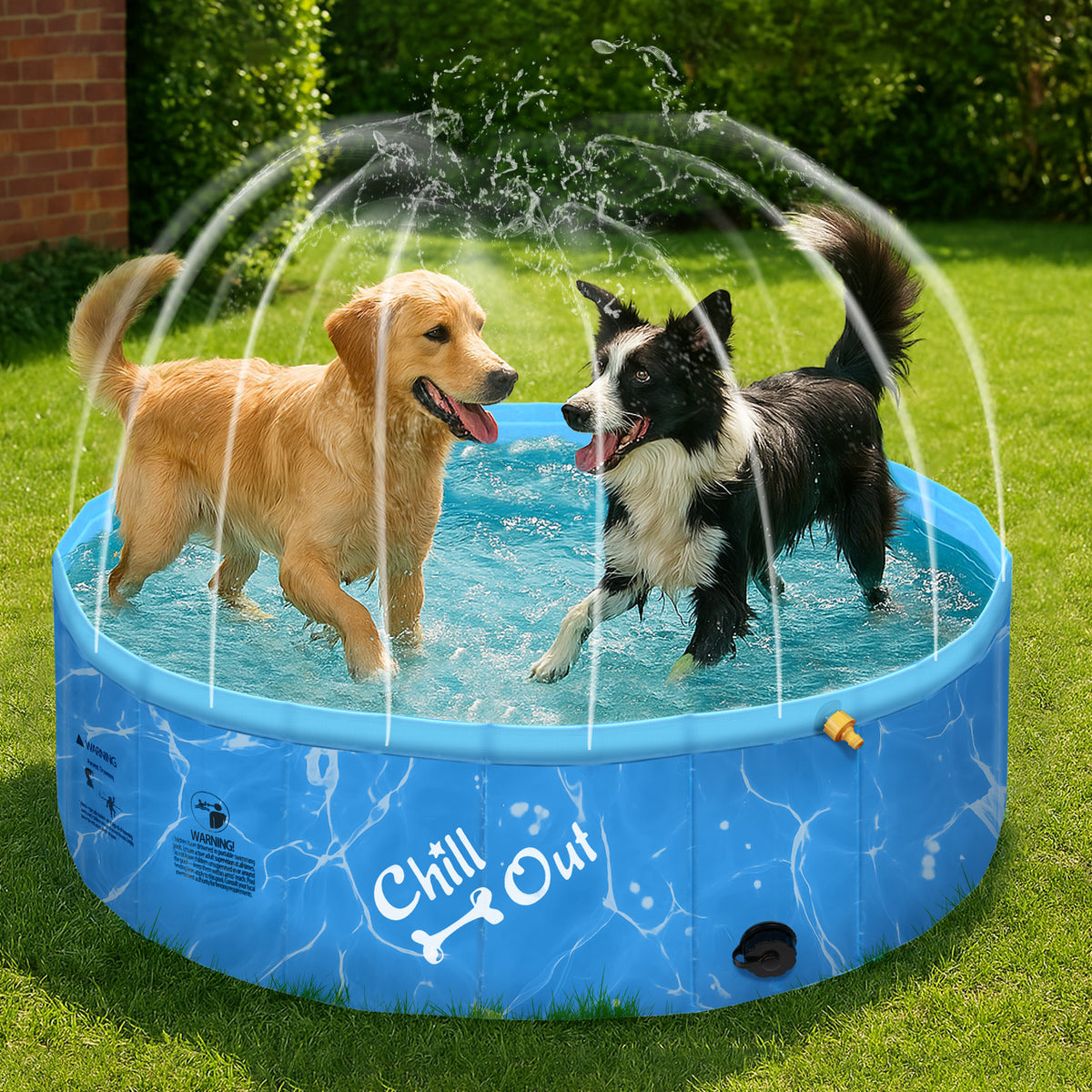 Chill Out - Dog Pool - 2-in-1 Foldable Sprinking Pool  for Outdoor Backyard