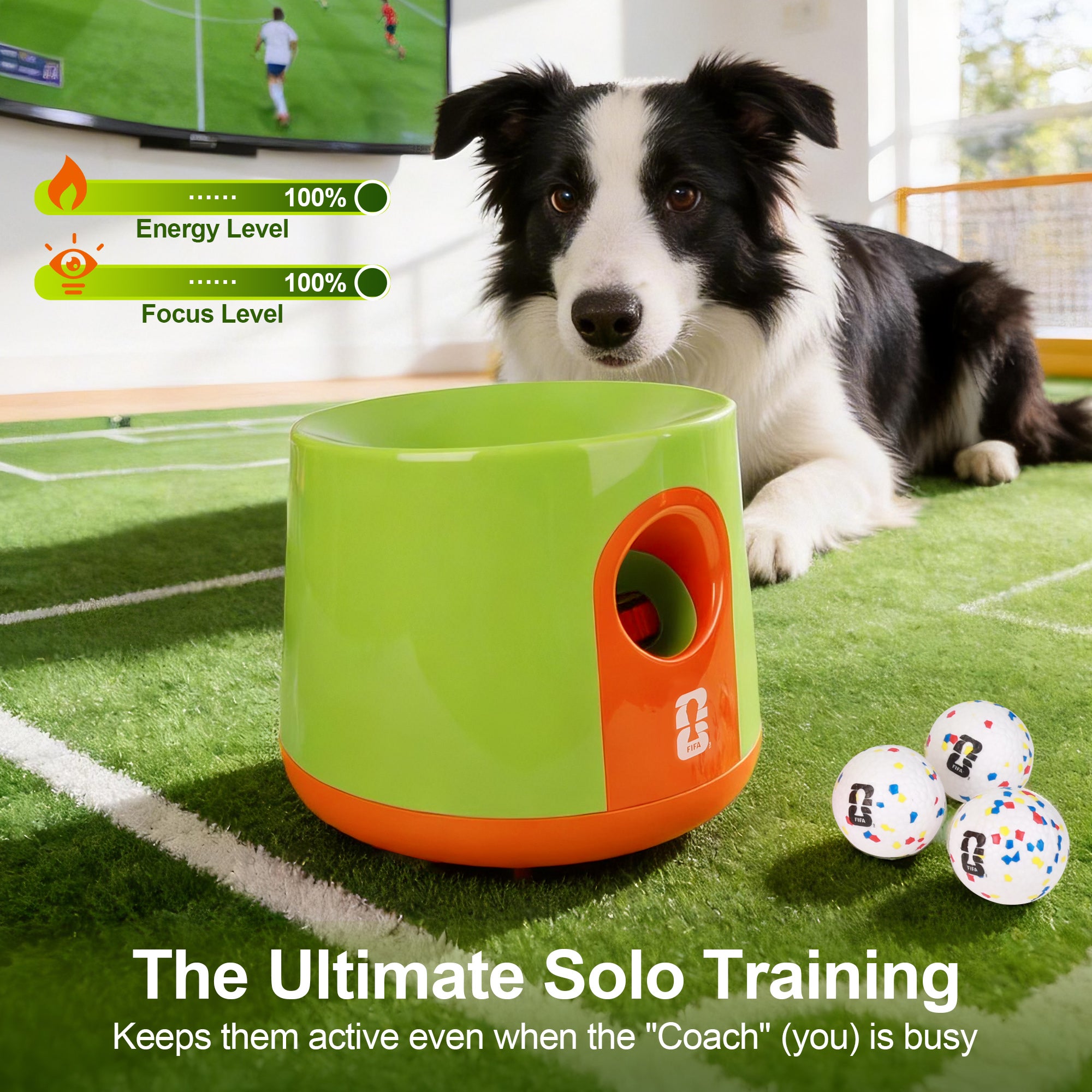 Official FIFA World Cup 2026 Edition - Pro Throw Automatic Ball  Launcher