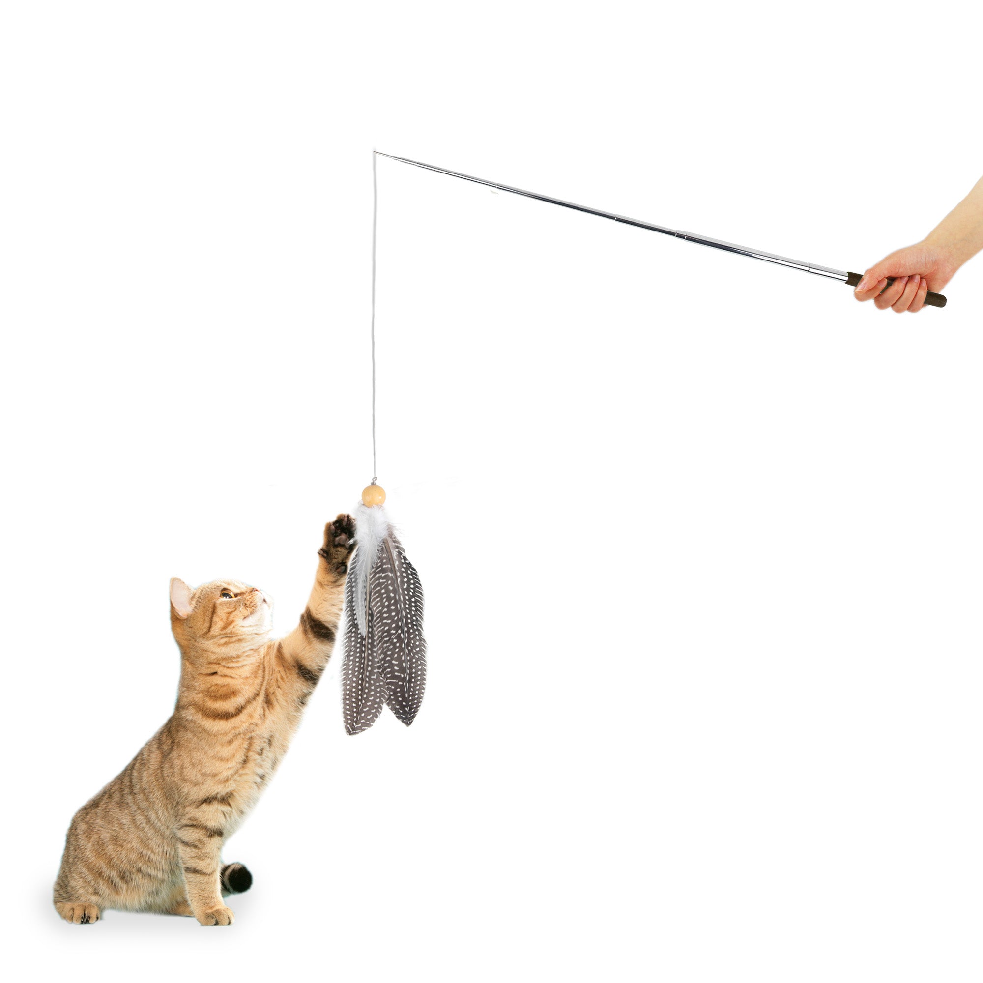 Natural Instinct - Swirling Feather Cat Wand - Teaser