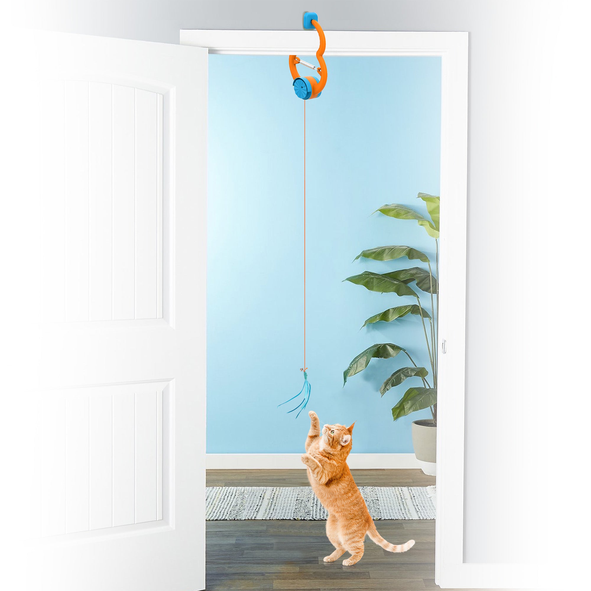 Mordern Cat - Cat Toys - Bounce’n’Paw Door Frame Teaser