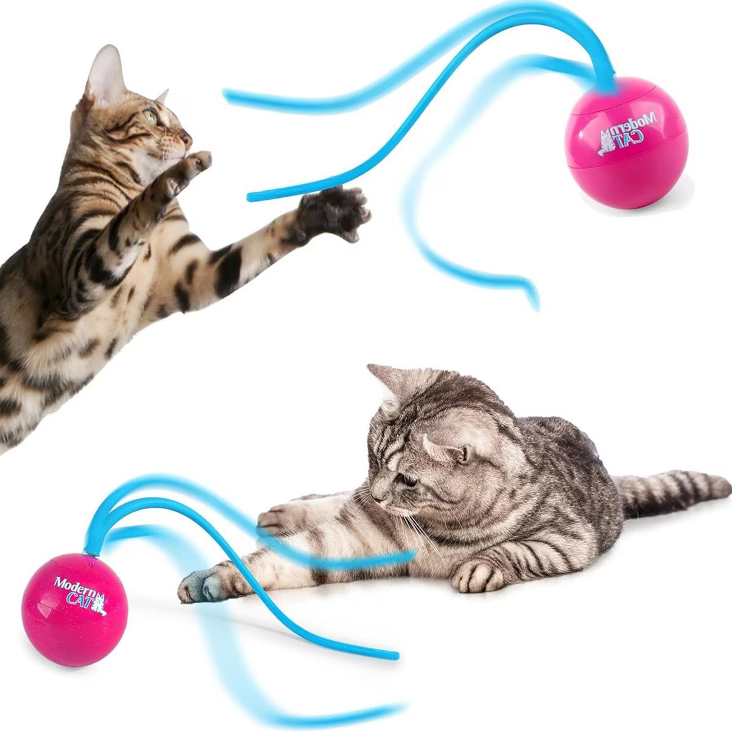 AFP(All For Paws) Pet Products