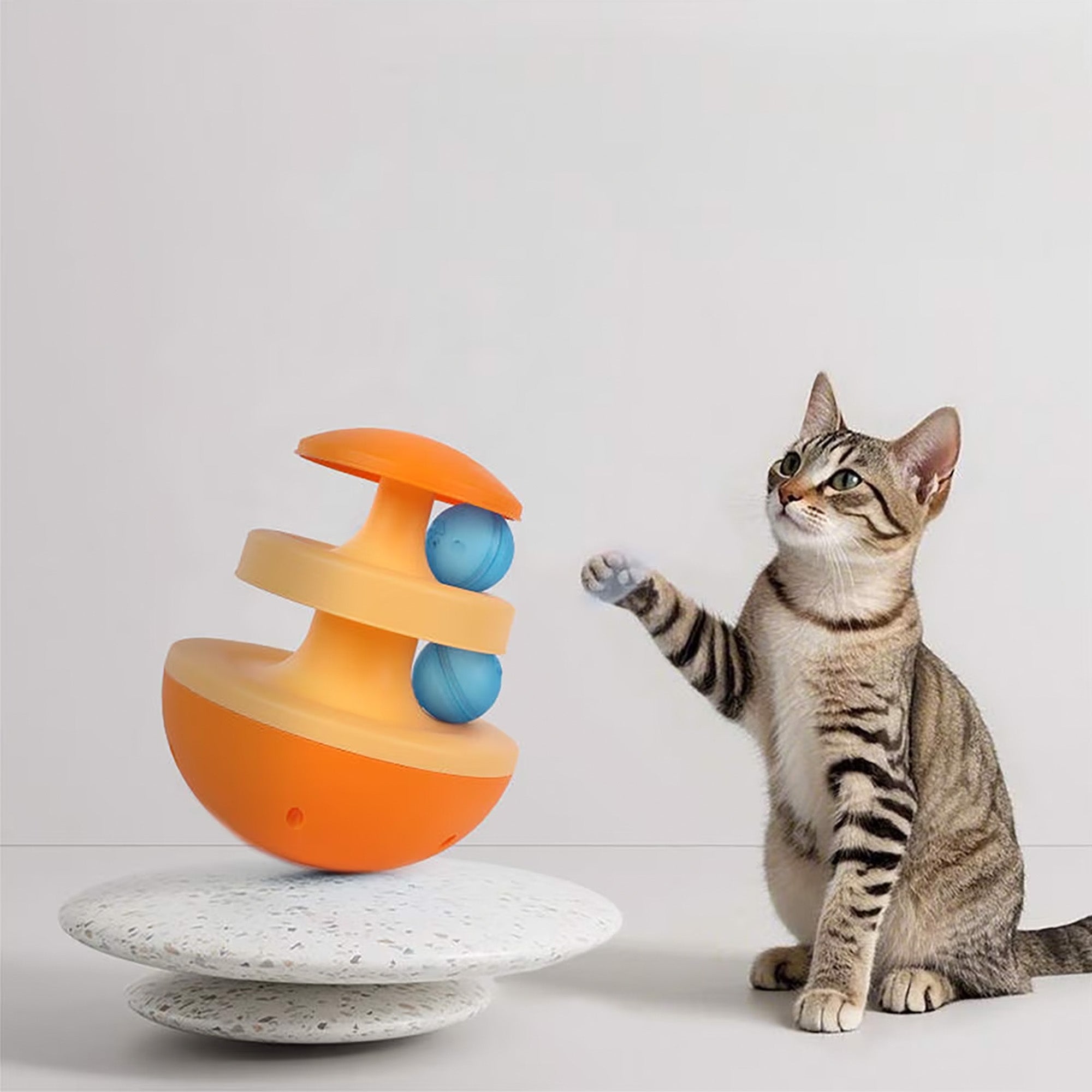 Cat Toy Surprise Box – 9 Interactive Cat Toys in One Fun Set | all for paws