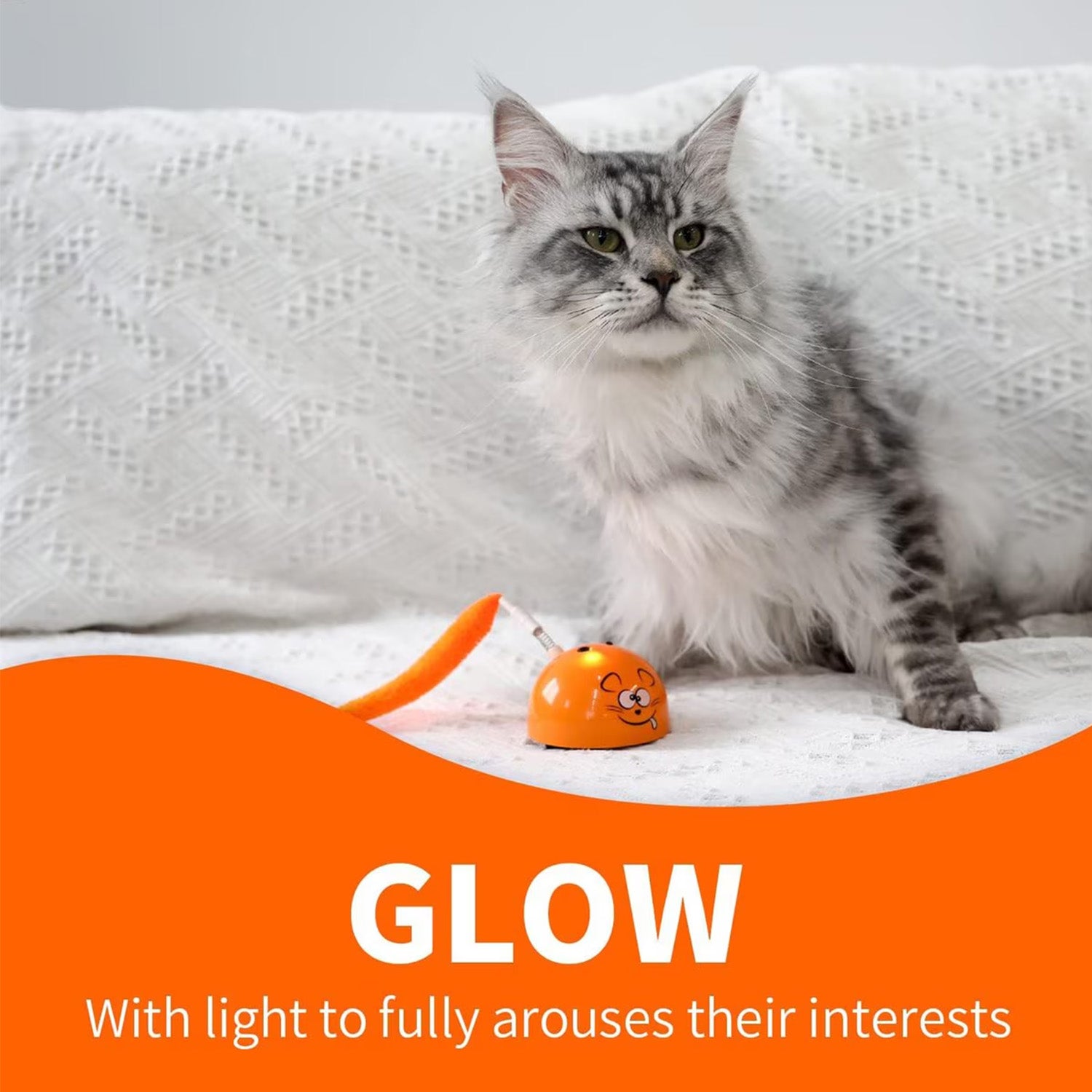 AFP(All For Paws) Pet Products