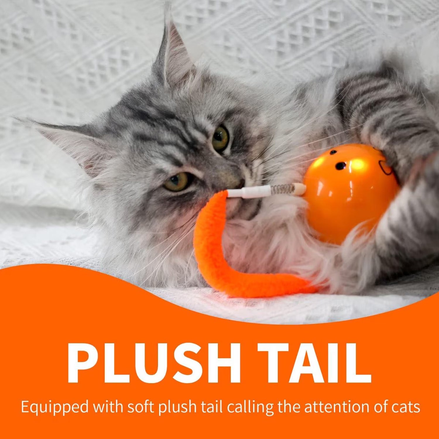 AFP(All For Paws) Pet Products