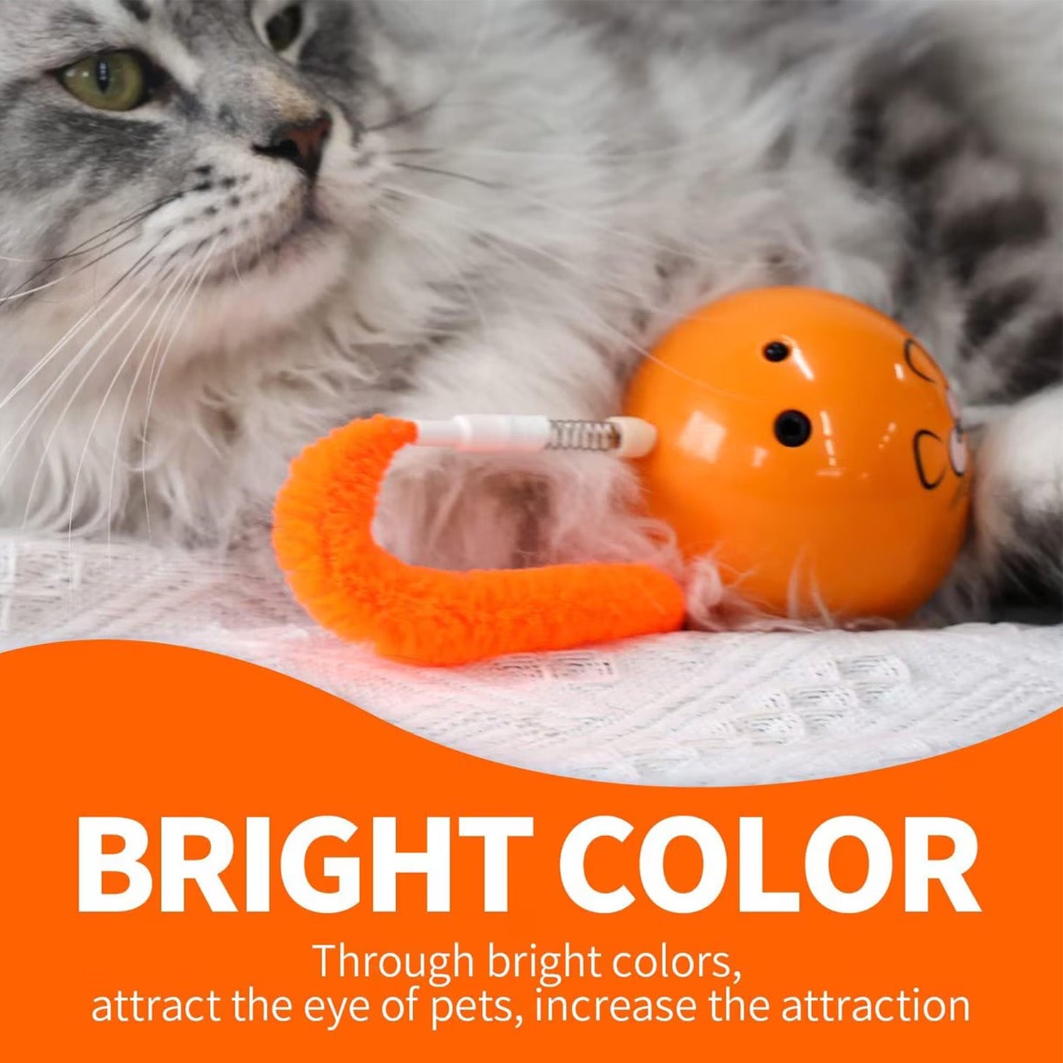 AFP(All For Paws) Pet Products