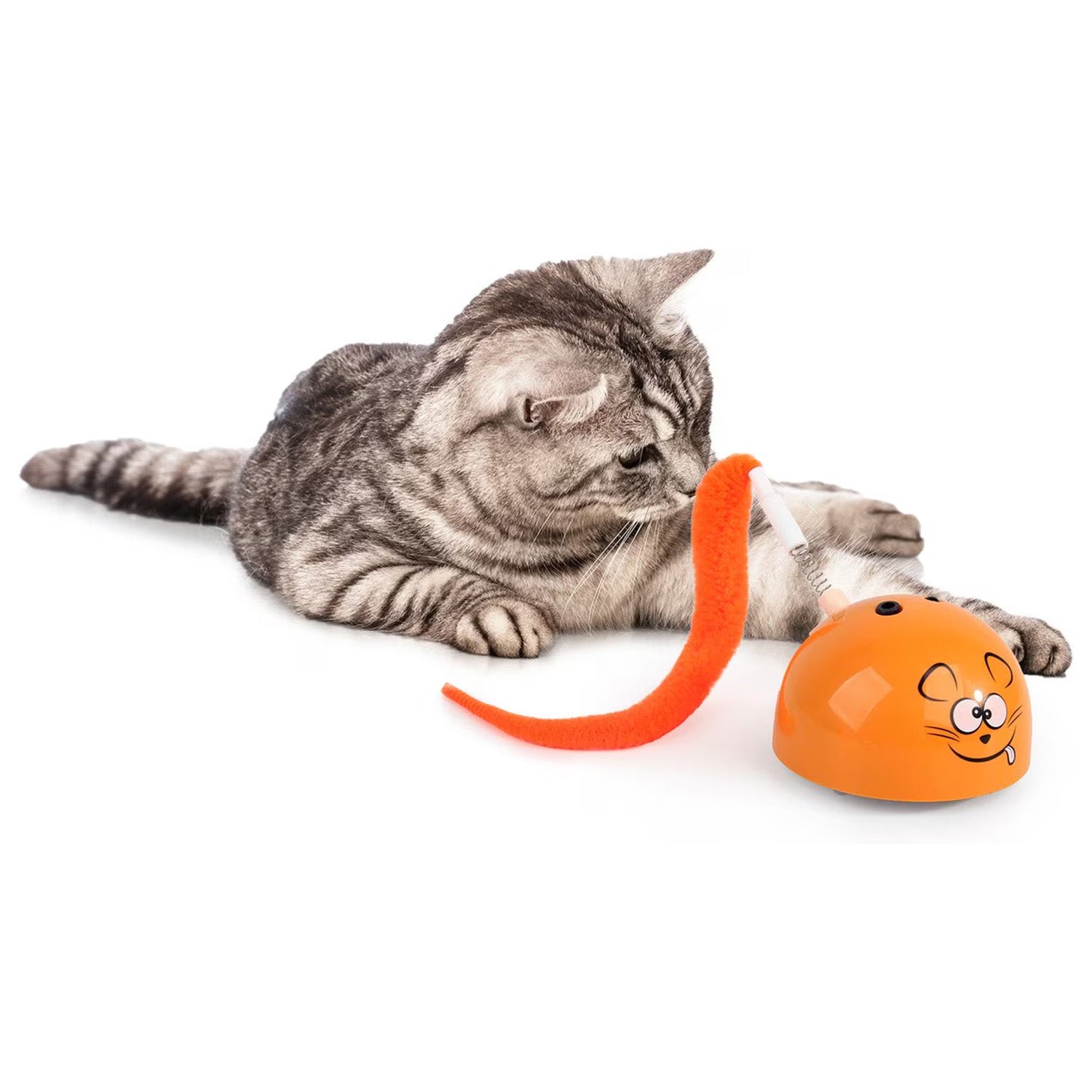 AFP(All For Paws) Pet Products