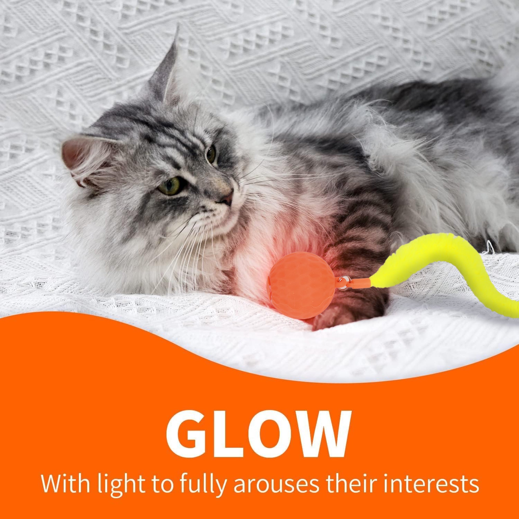 AFP(All For Paws) Pet Products