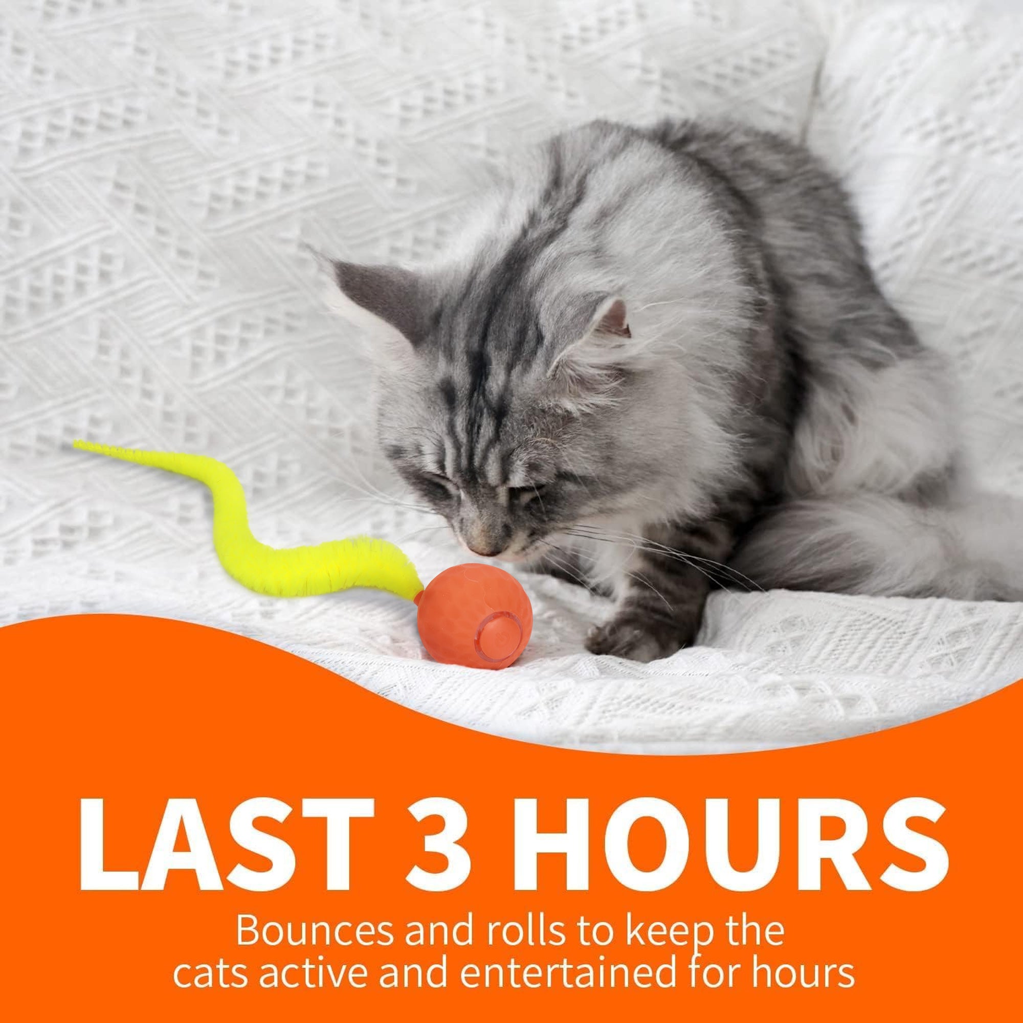 AFP(All For Paws) Pet Products