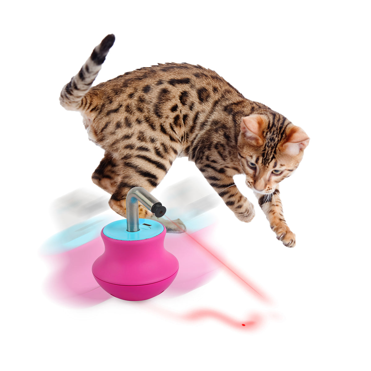 Modern Cat - Laser Gyro Cat Toy