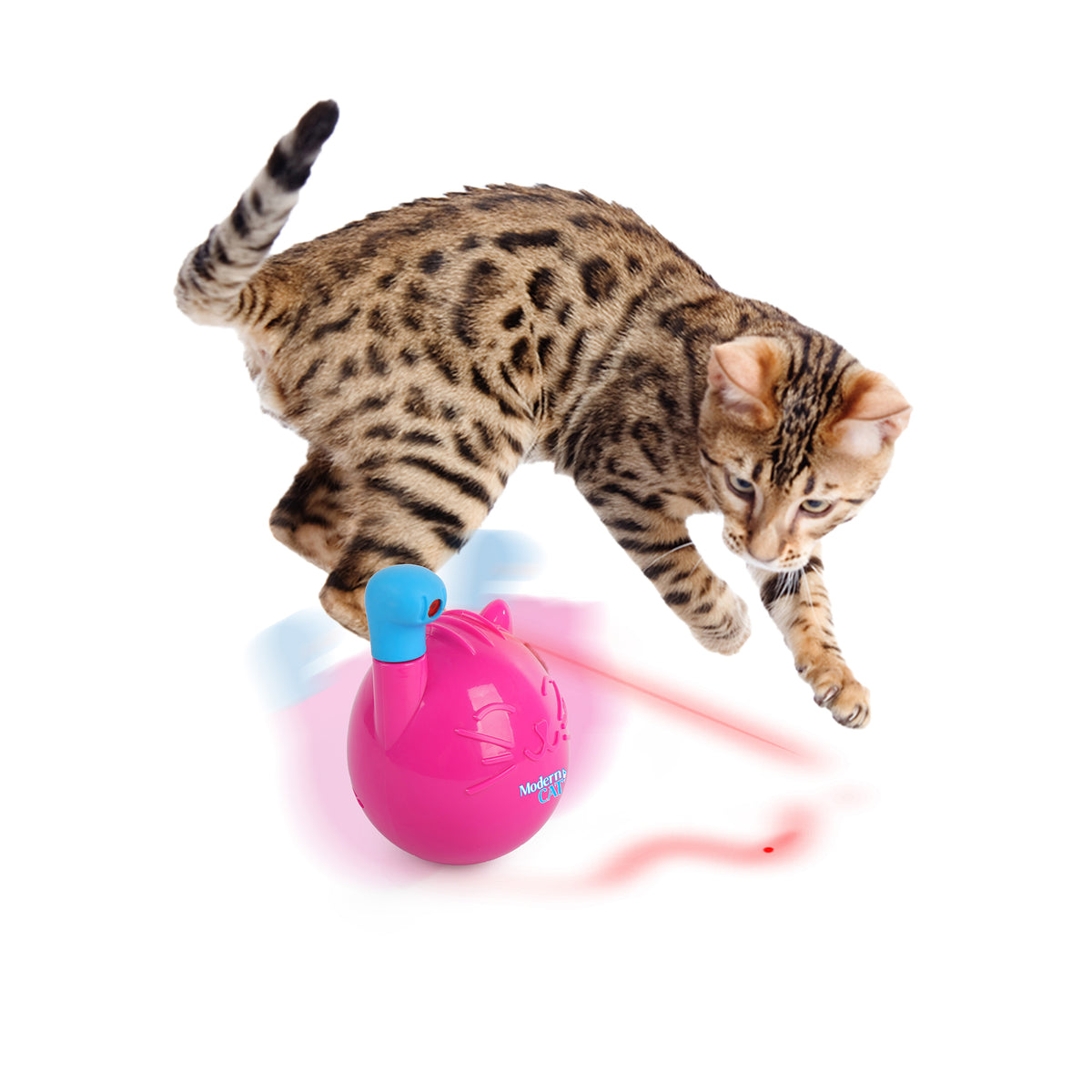 Modern Cat - Cat Wobble Laser Toy