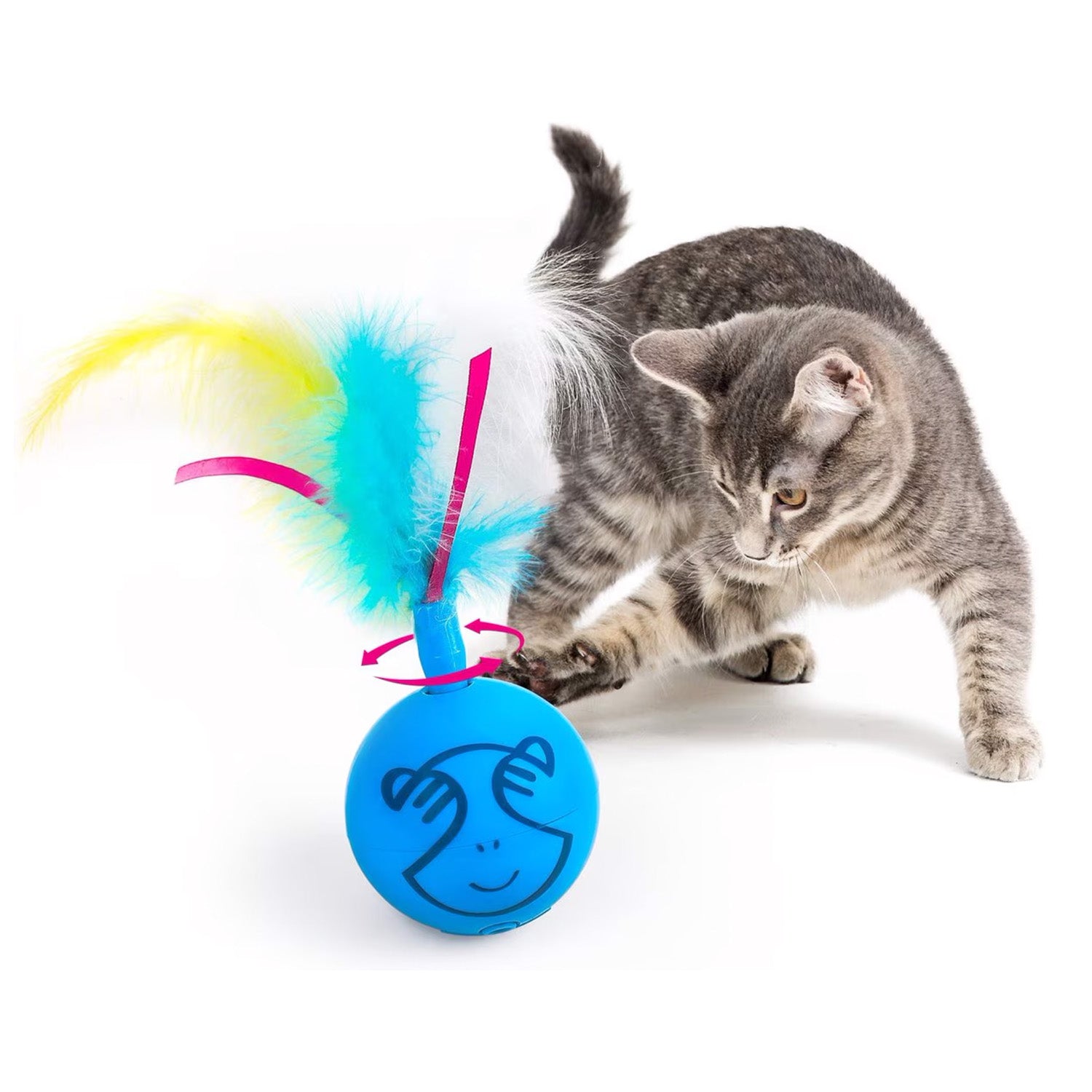 AFP(All For Paws) Pet Products