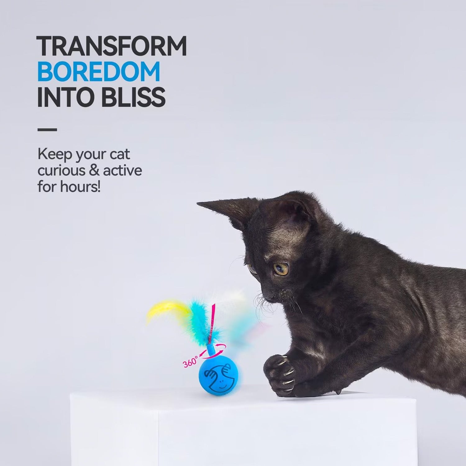 AFP(All For Paws) Pet Products