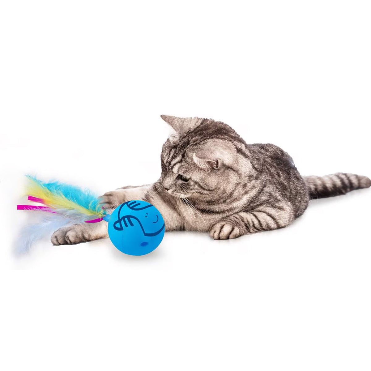 Mordern Cat - Dizzy Spinner Cat Toy