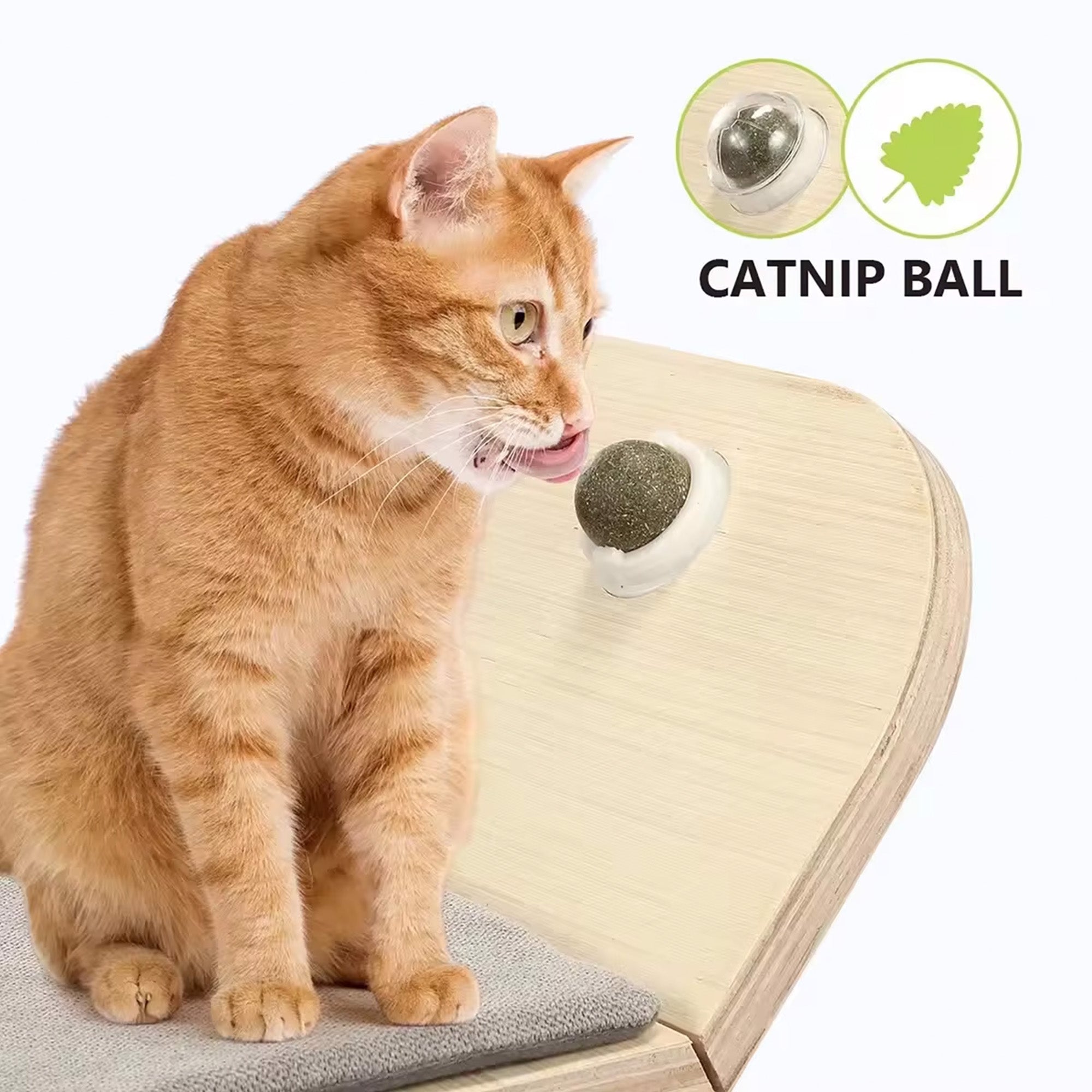 AFP Scratcher Lounge Bed With Catnip Ball (Item#2272)