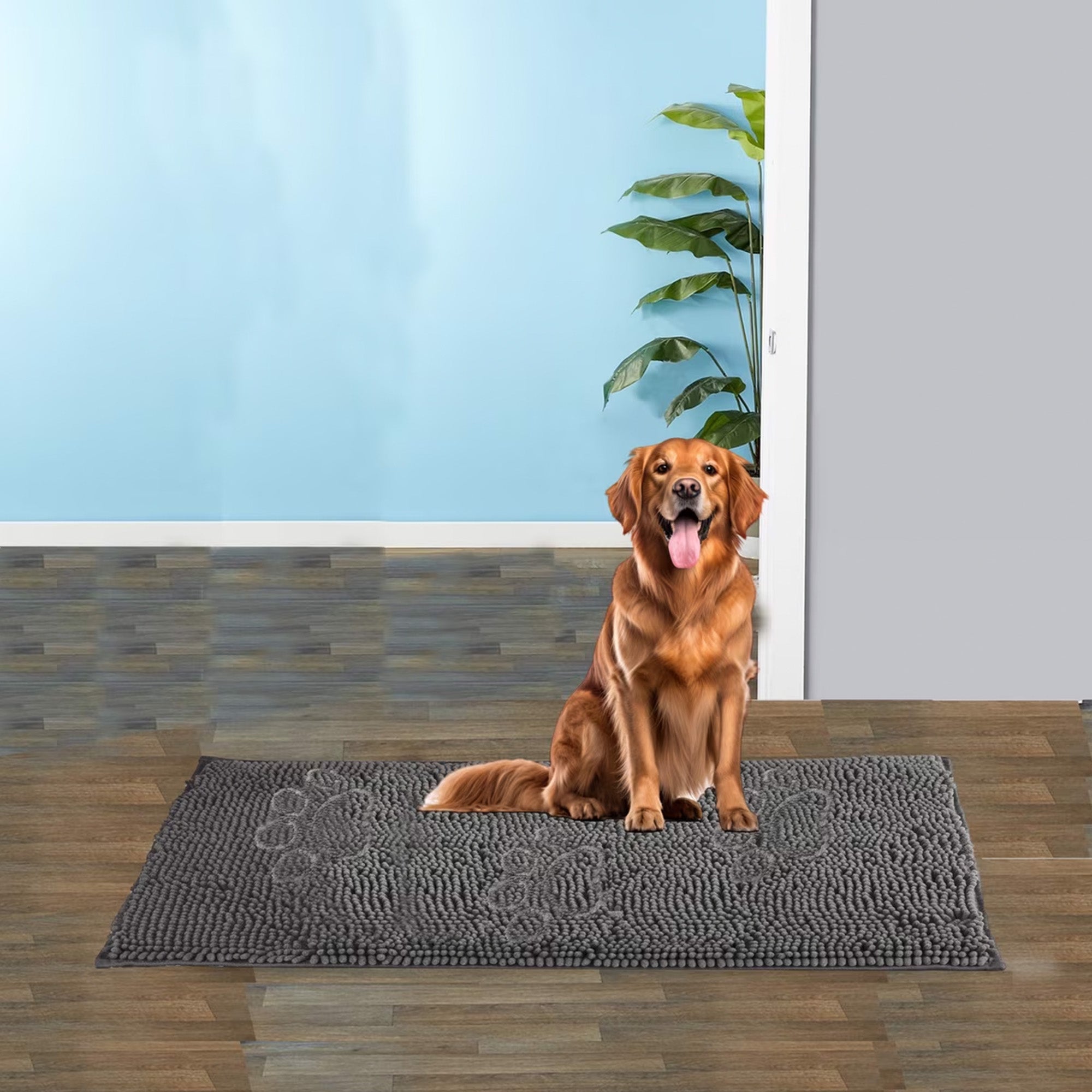 GO Fresh-Dirty Dog doormat Chenile 3Size