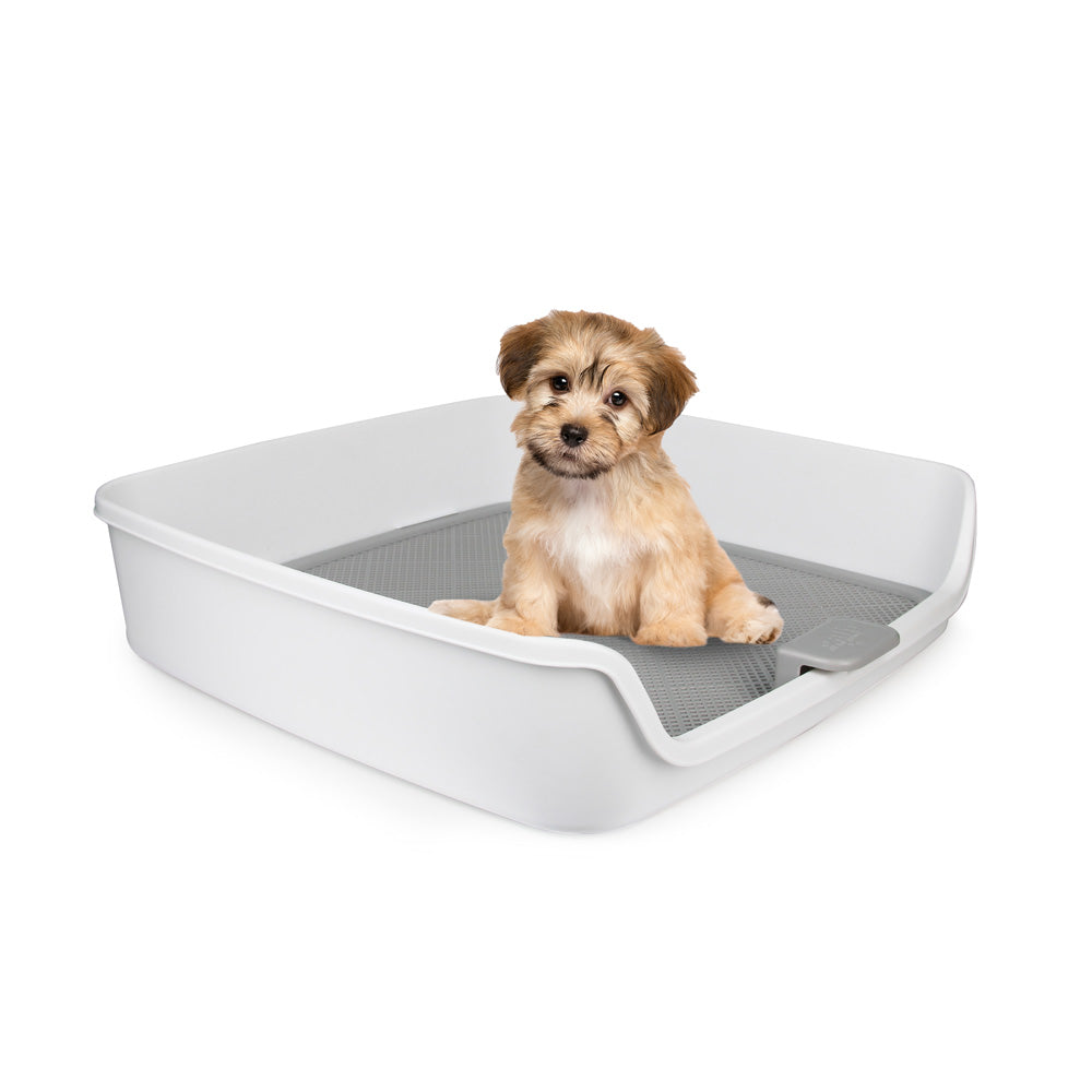 Dog pee pad for hygiene