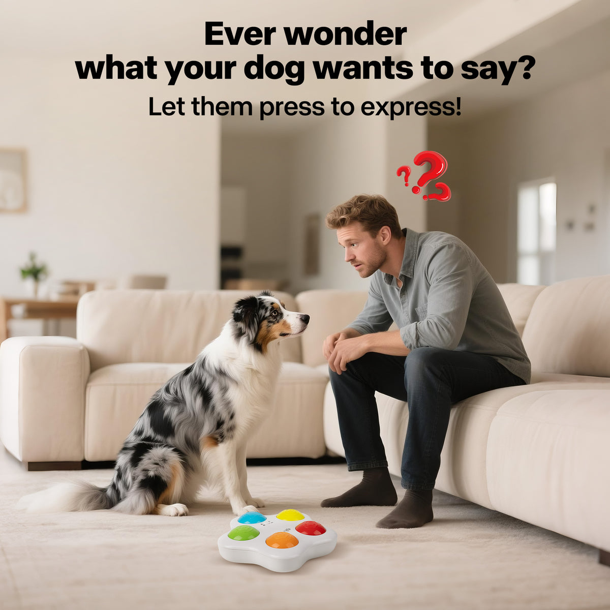 Interactive -Dog Toy - Pet Brain Trainning buttons