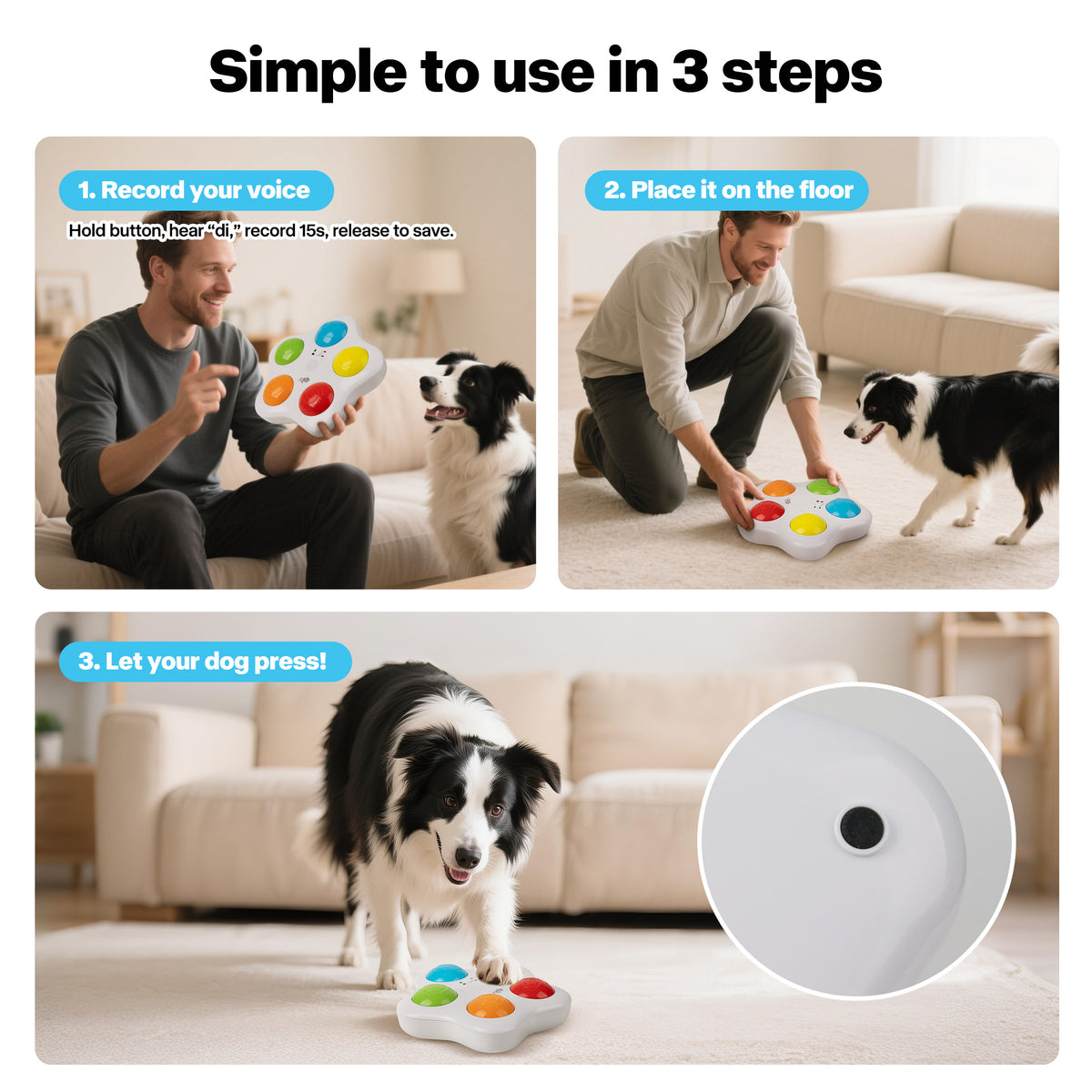 Interactive -Dog Toy - Pet Brain Trainning buttons