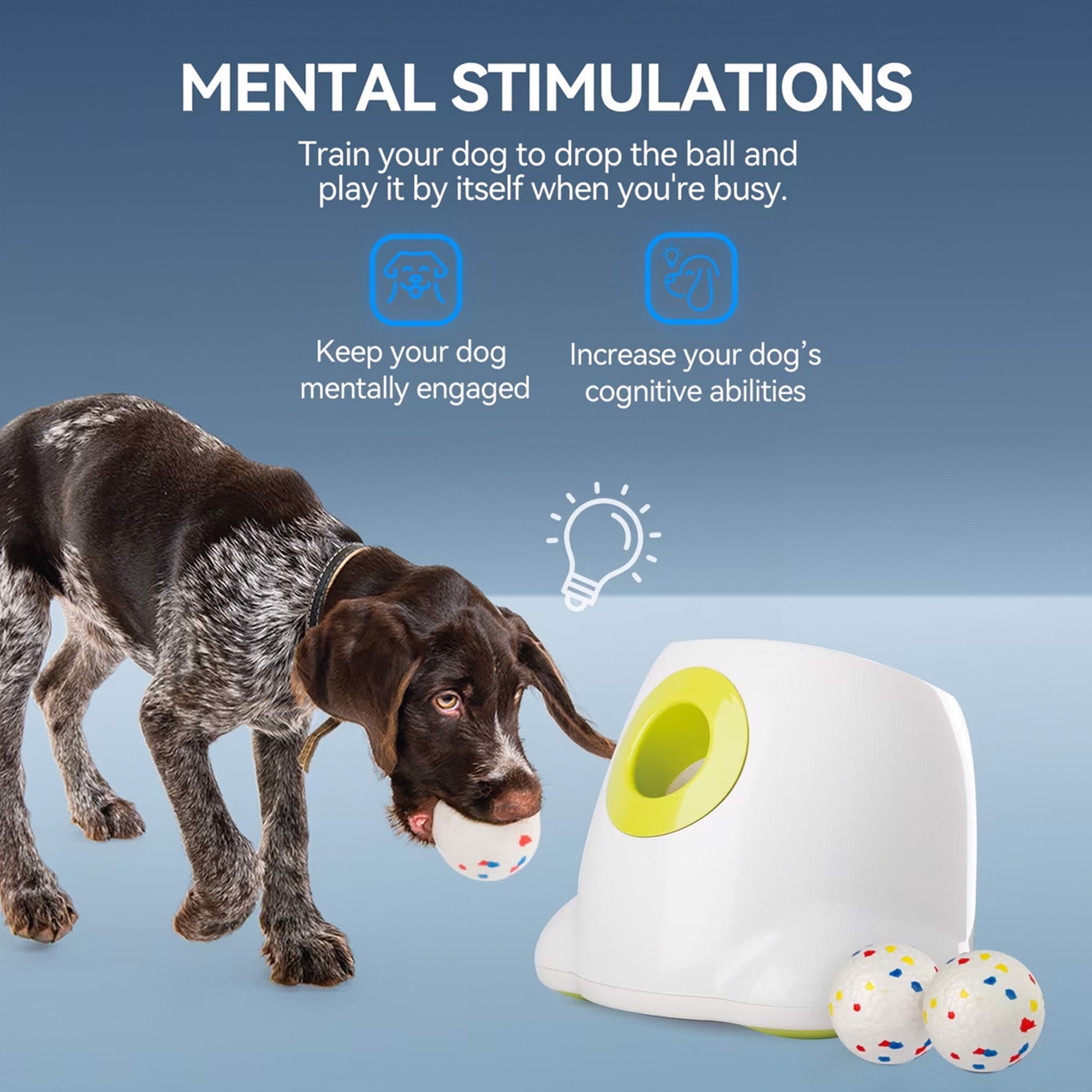 AFP Interactive Maxi Ball Launcher Training Dog Toy with 2.5-in EPTU Balls