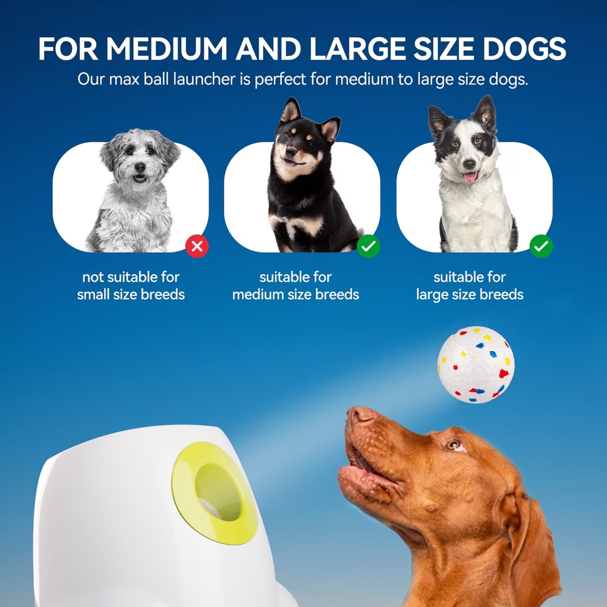 AFP Interactive Maxi Ball Launcher Training Dog Toy with 2.5-in EPTU Balls