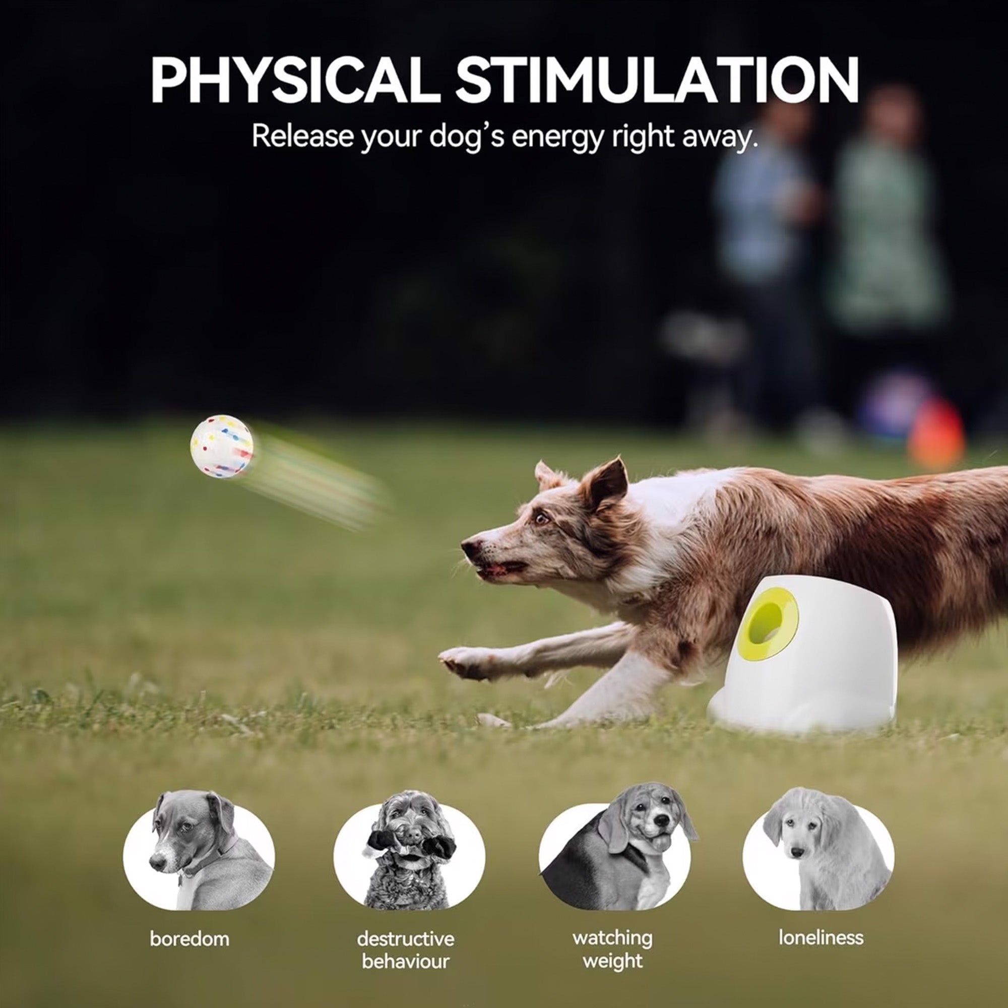 AFP Interactive Maxi Ball Launcher Training Dog Toy with 2.5-in EPTU Balls