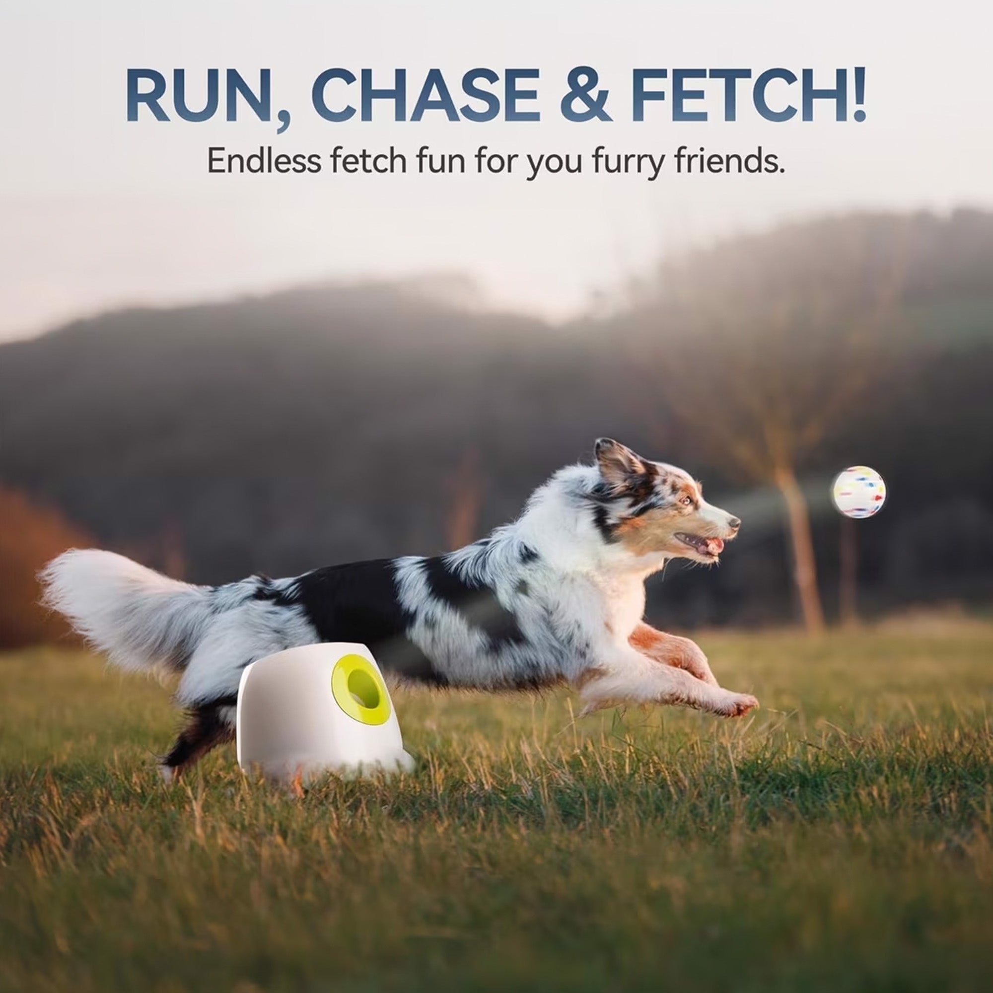 AFP Interactive Maxi Ball Launcher Training Dog Toy with 2.5-in EPTU Balls
