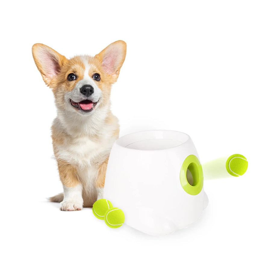 H3: 1. Mini Hyper Fetch Automatic Ball Launcher for Small Dogs