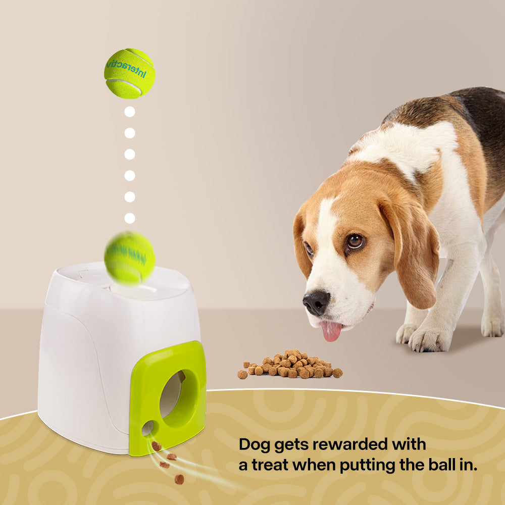 AFP(All For Paws) Pet Products