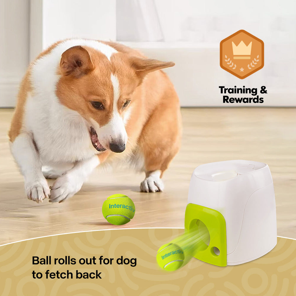 AFP(All For Paws) Pet Products