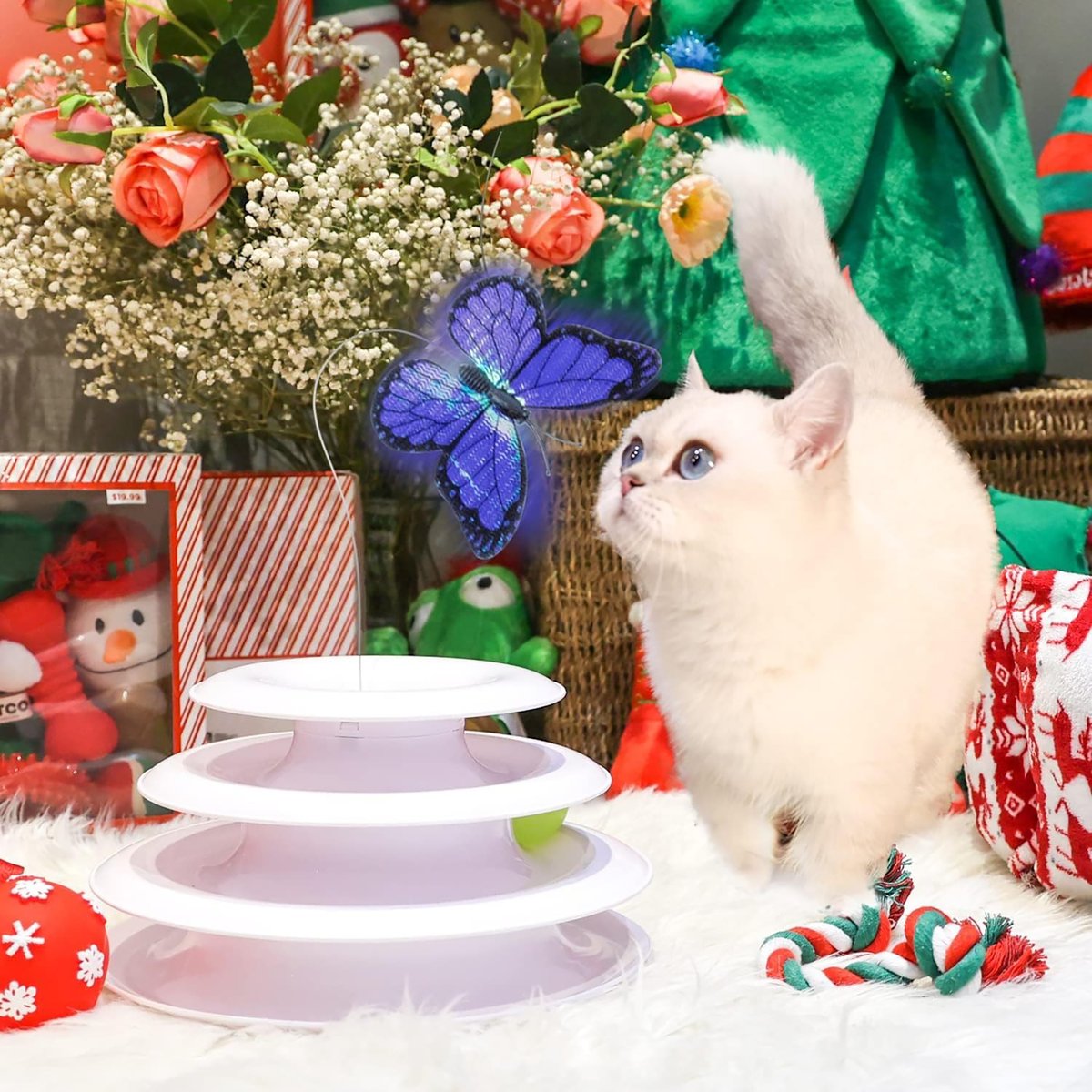 AFP(All For Paws) Pet Products