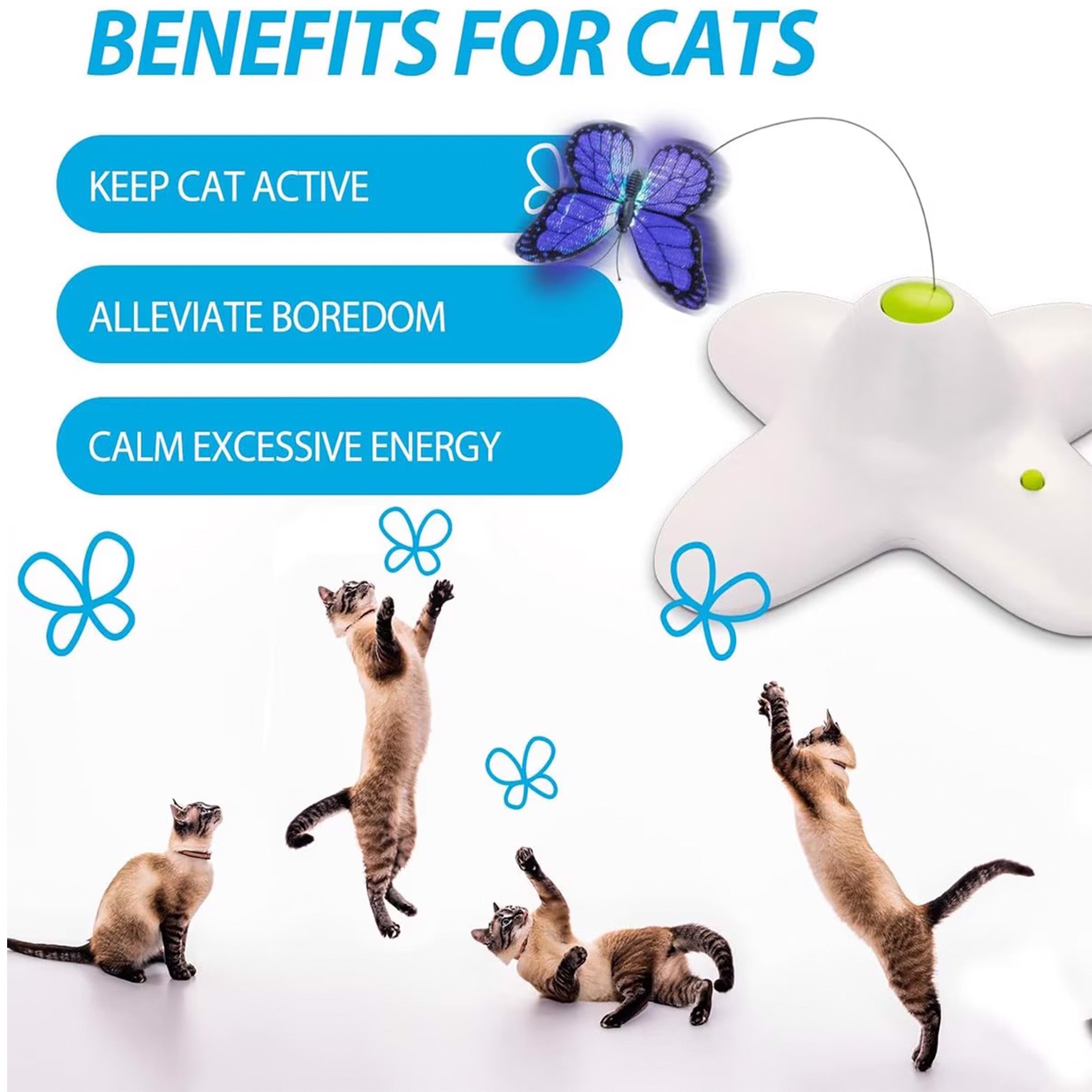 AFP(All For Paws) Pet Products