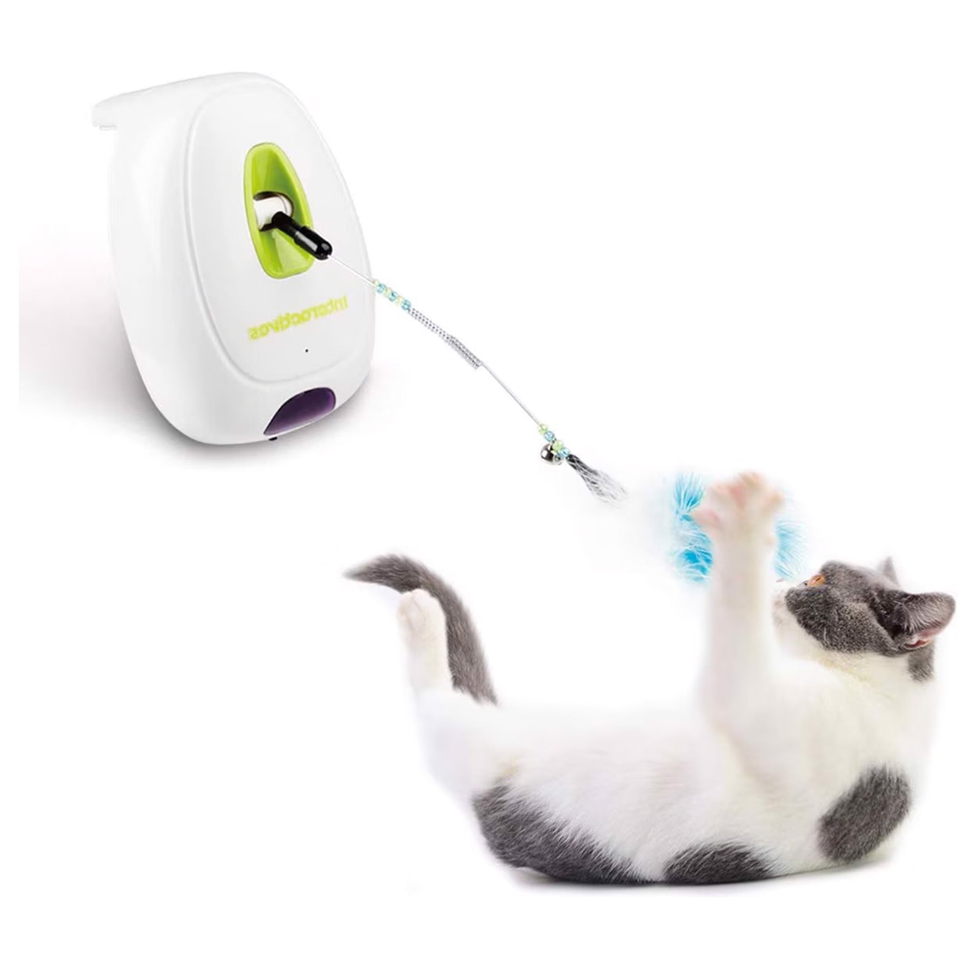 AFP(All For Paws) Pet Products