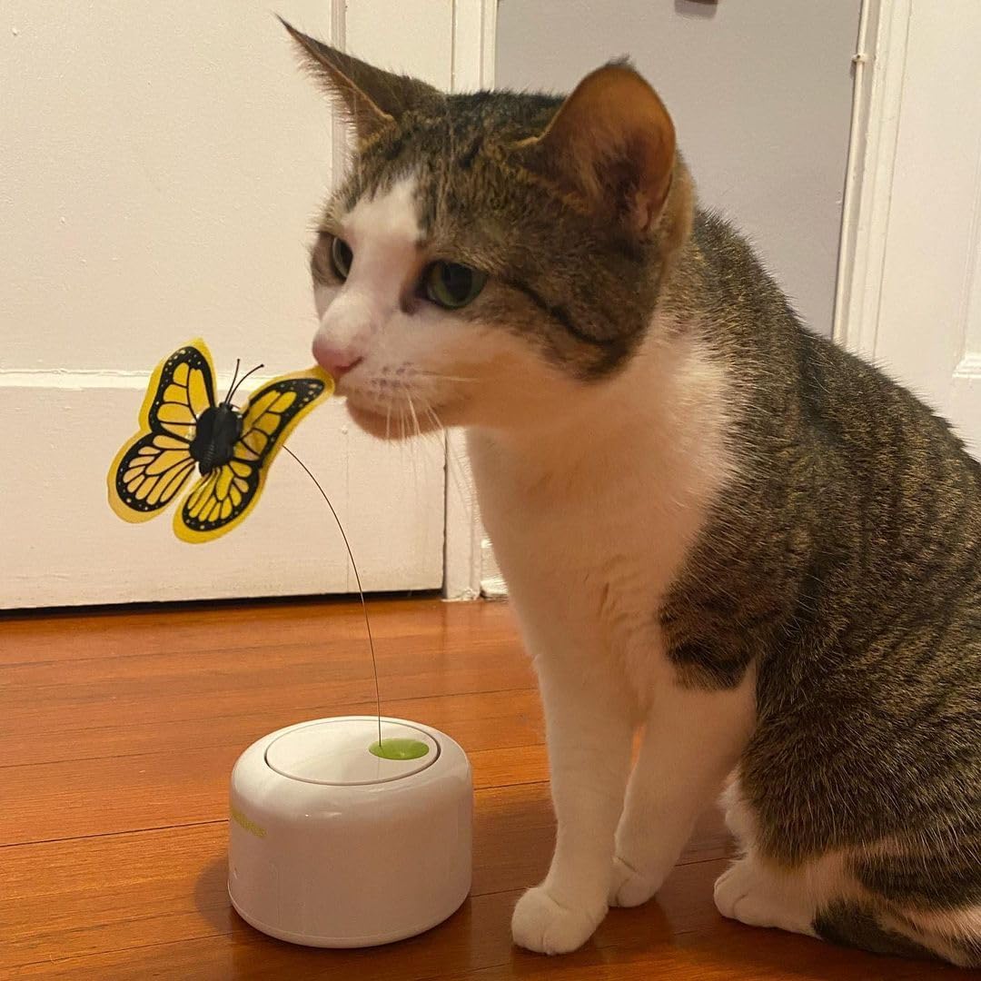 AFP Motion Activated 360° Rotating Butterfly Interactive Cat Toy