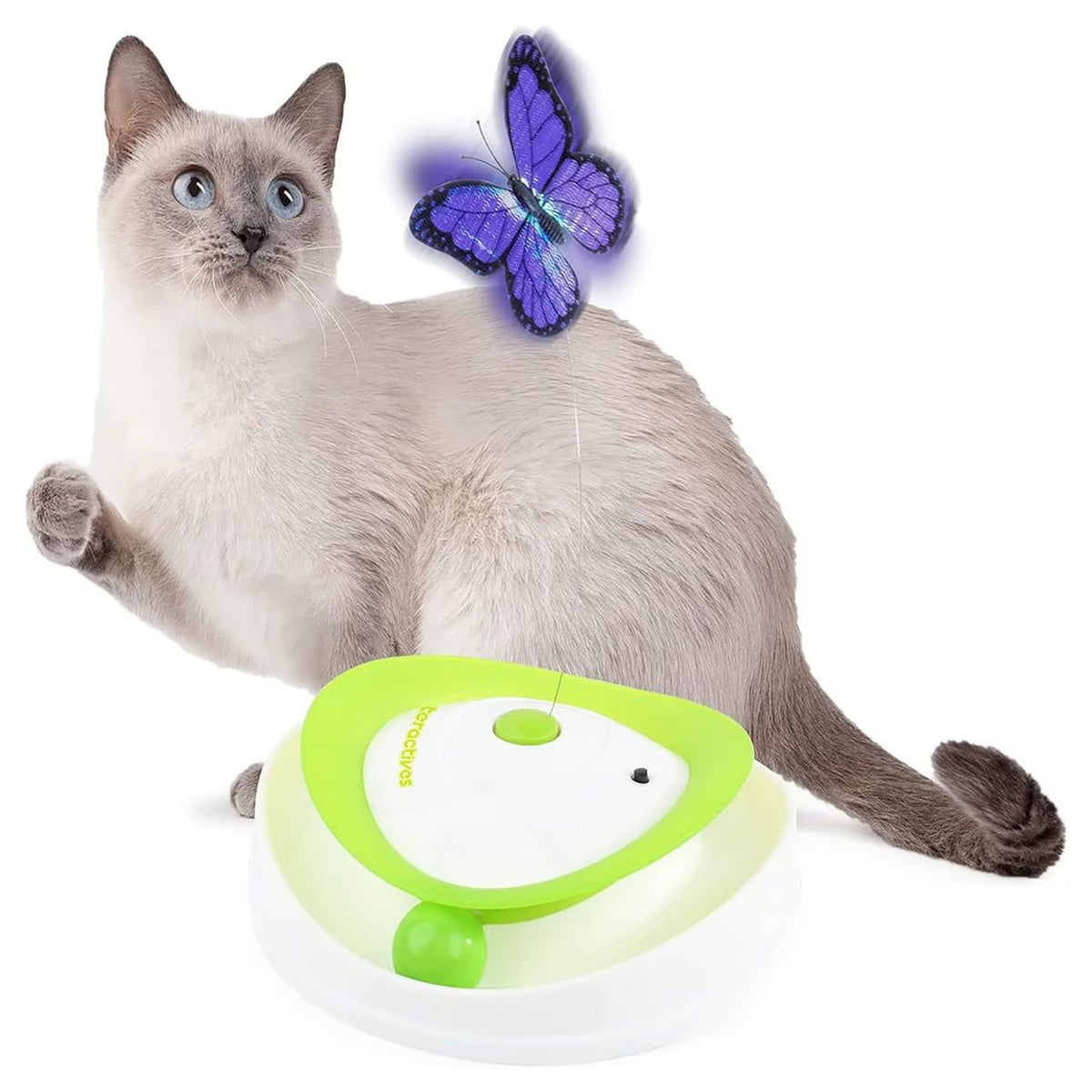 Interactives - Cat Toys - Roll Around Flutter Bug for Enrichment