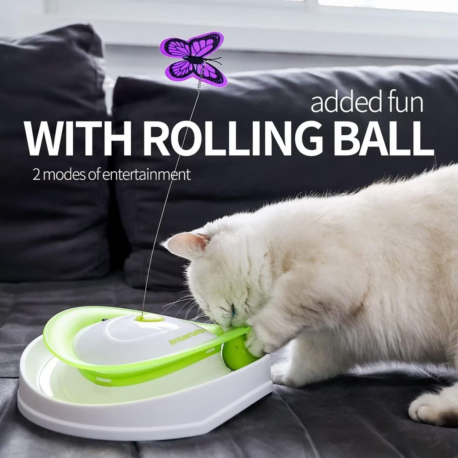 AFP(All For Paws) Pet Products