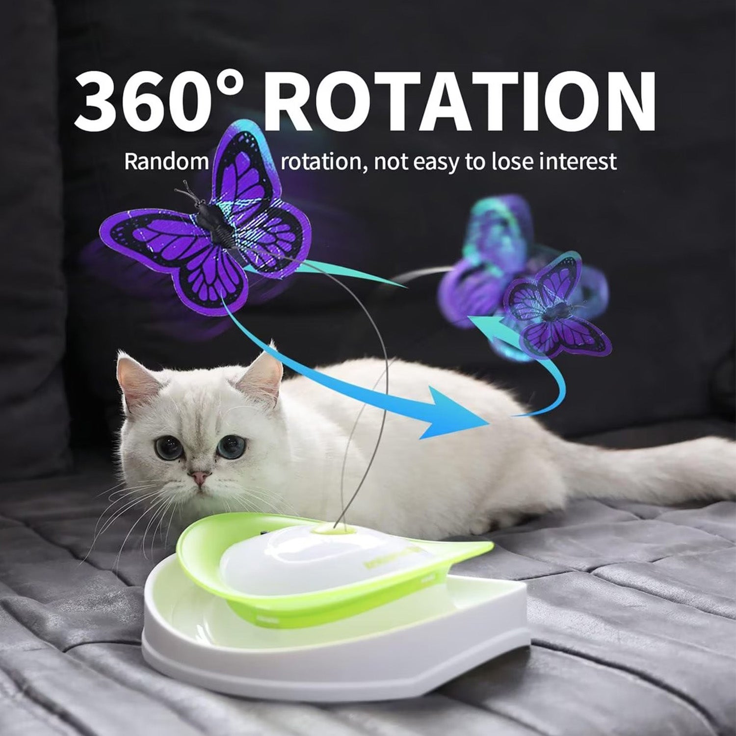 AFP(All For Paws) Pet Products