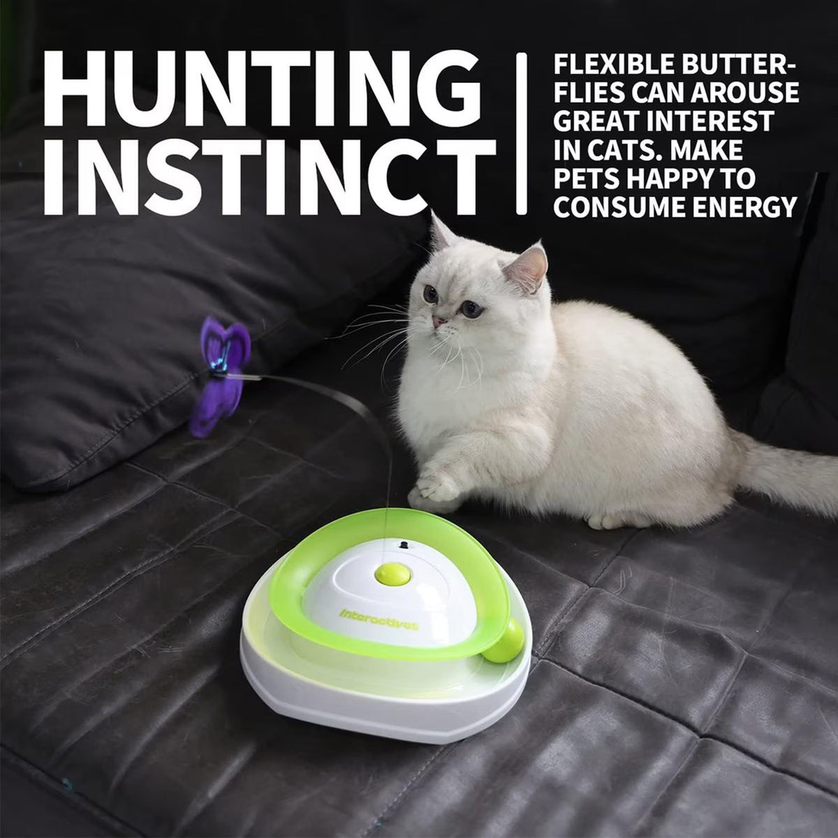 Interactives - Cat Toys - Roll Around Flutter Bug for Enrichment