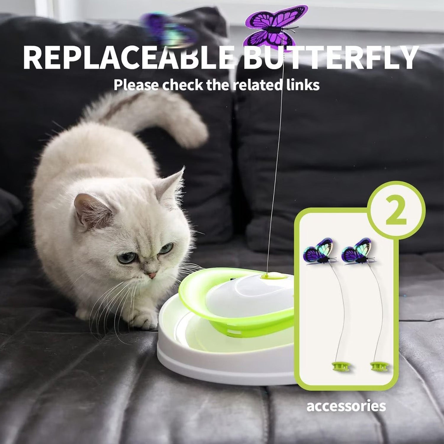 AFP(All For Paws) Pet Products