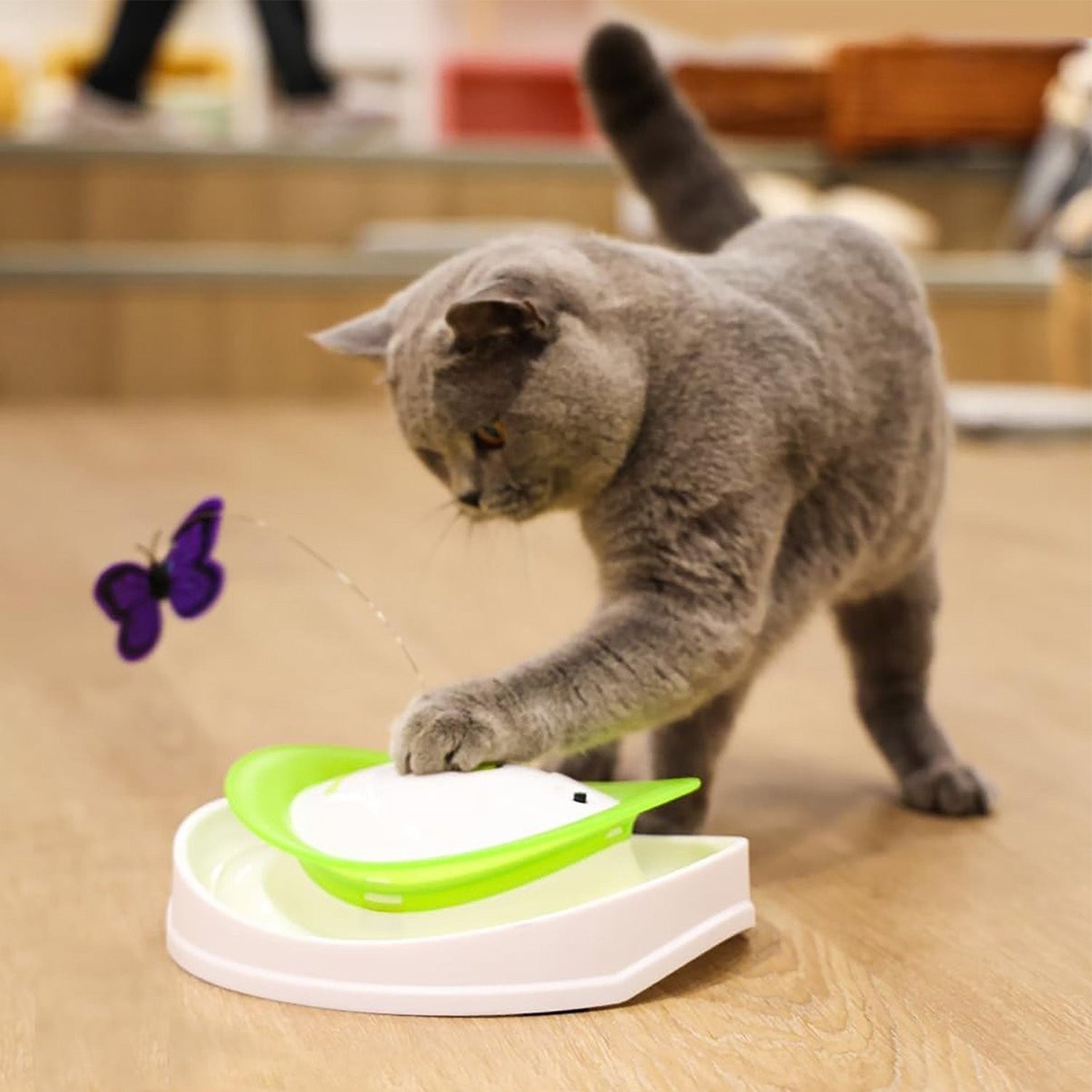 AFP(All For Paws) Pet Products