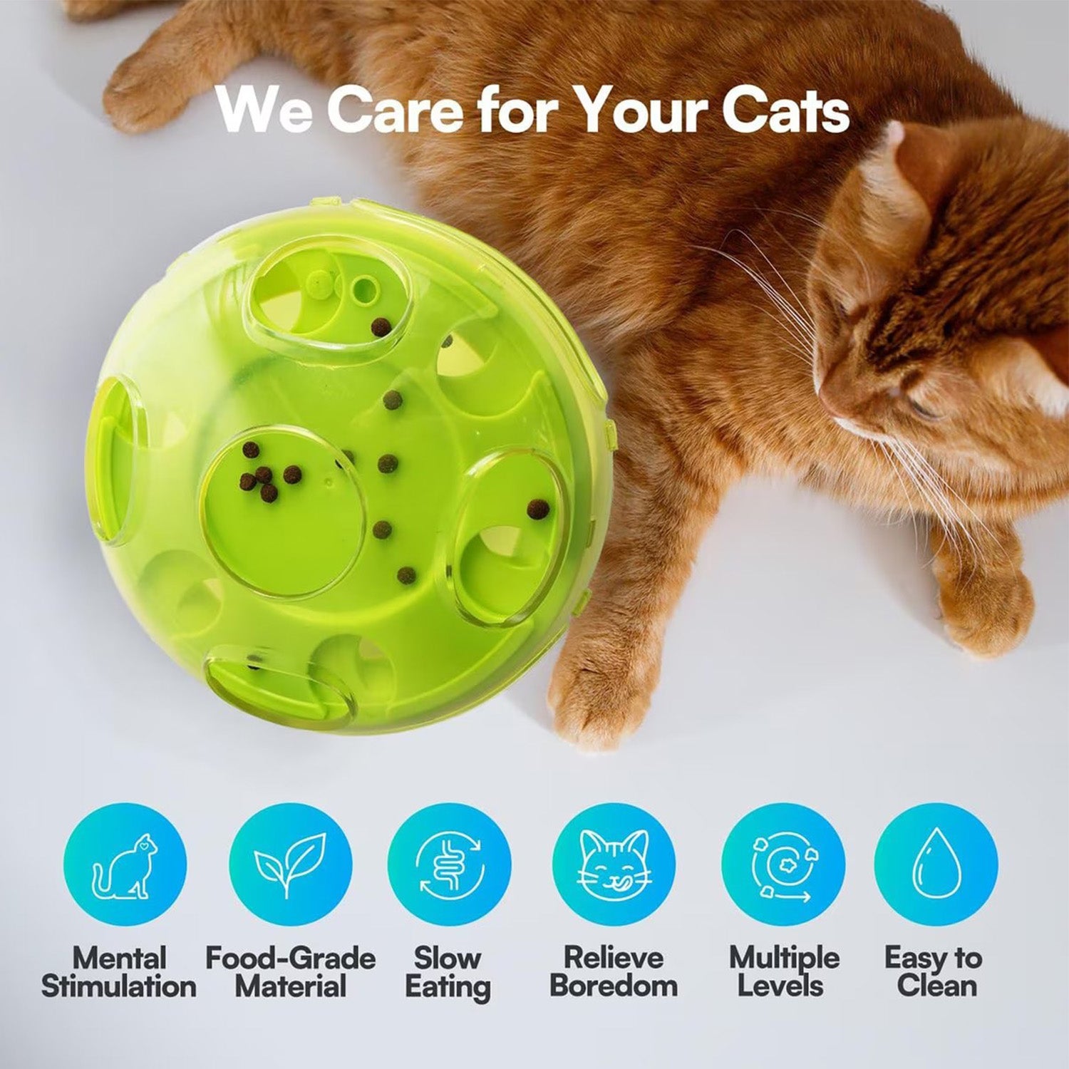 AFP(All For Paws) Pet Products