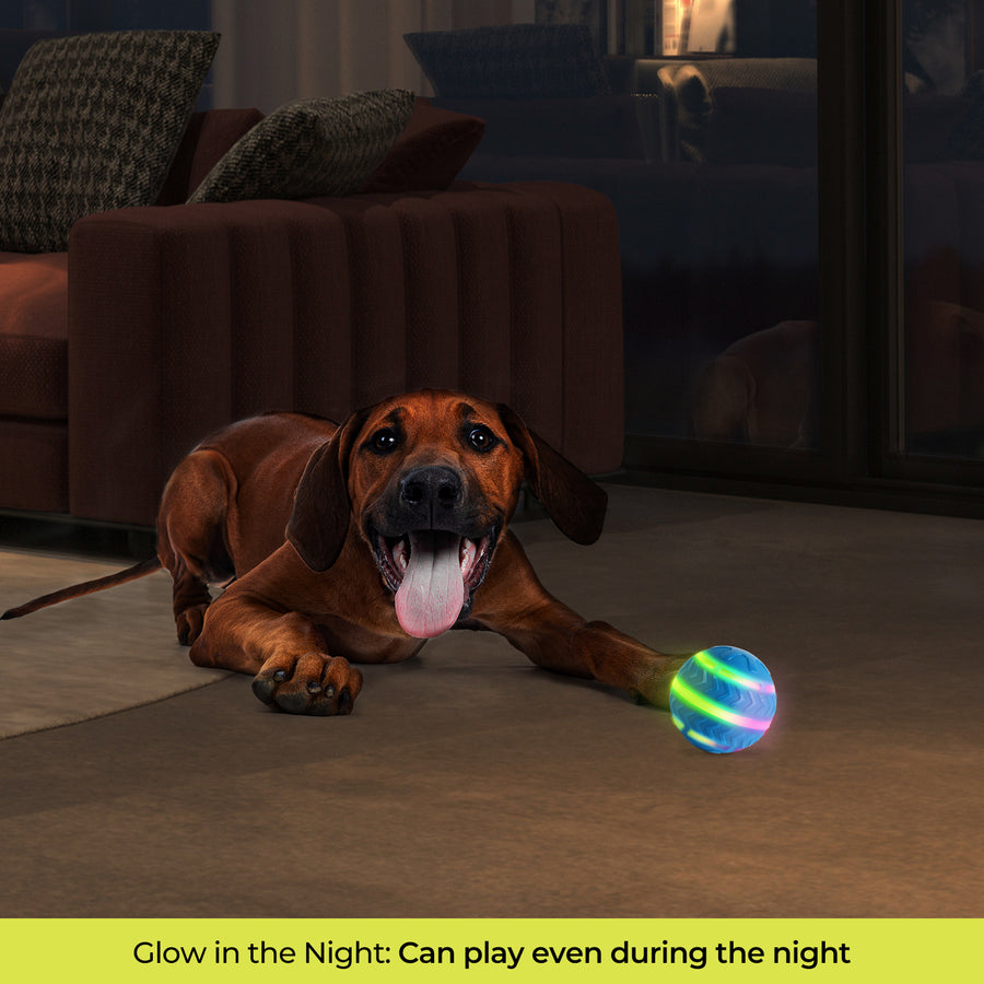 2. Motion-Activated LED Dog Ball