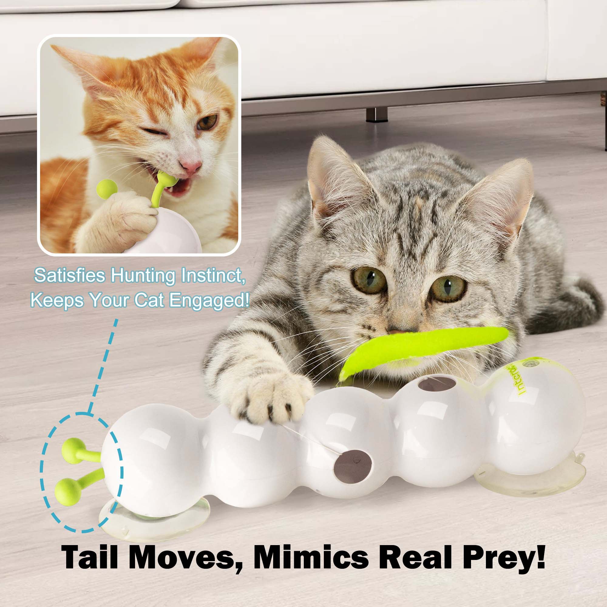 AFP(All For Paws) Pet Products