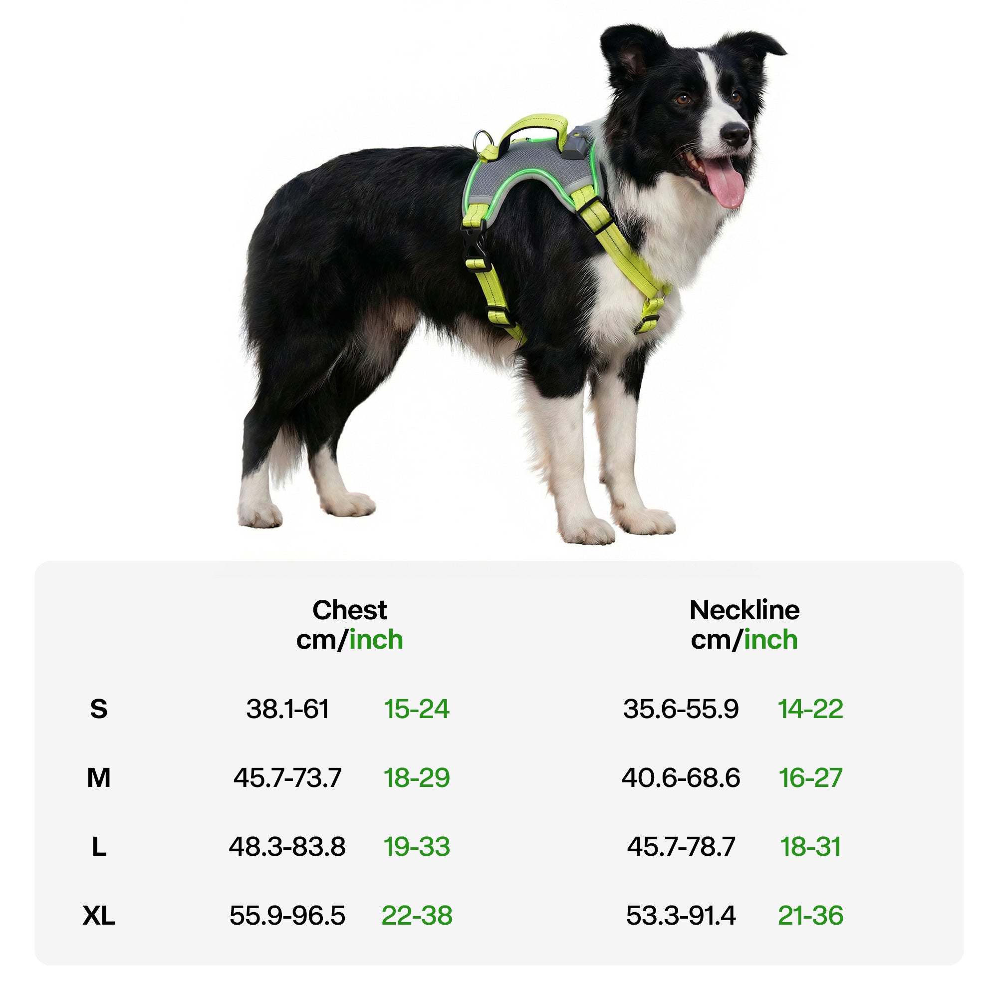 K-NITE - Dog Harness, Light Up Harness