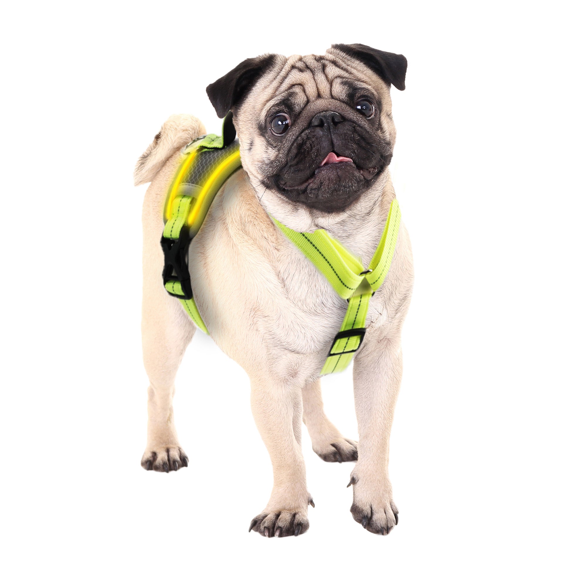 K-NITE - Dog Harness, Light Up Harness