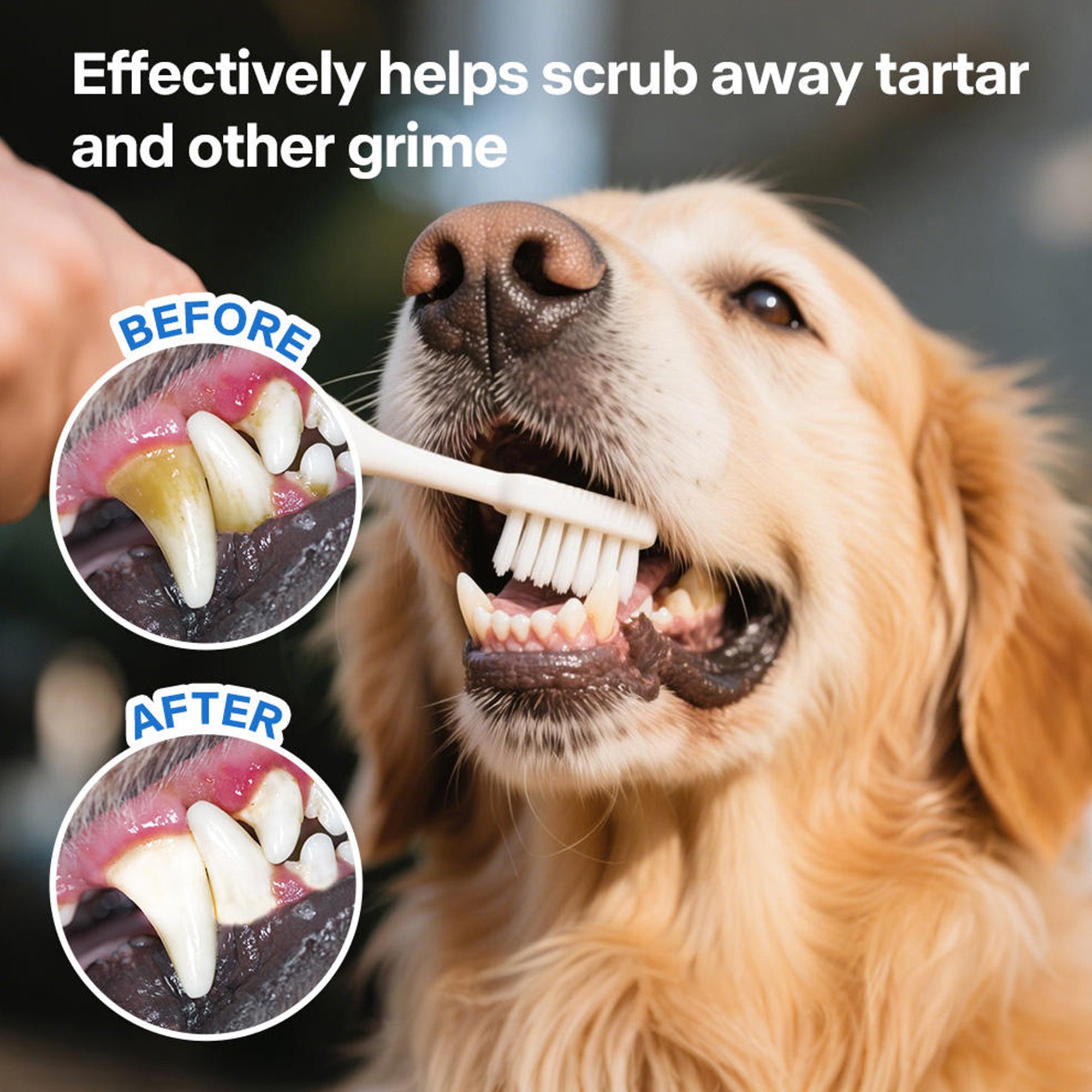 AFP(All For Paws) Pet Products