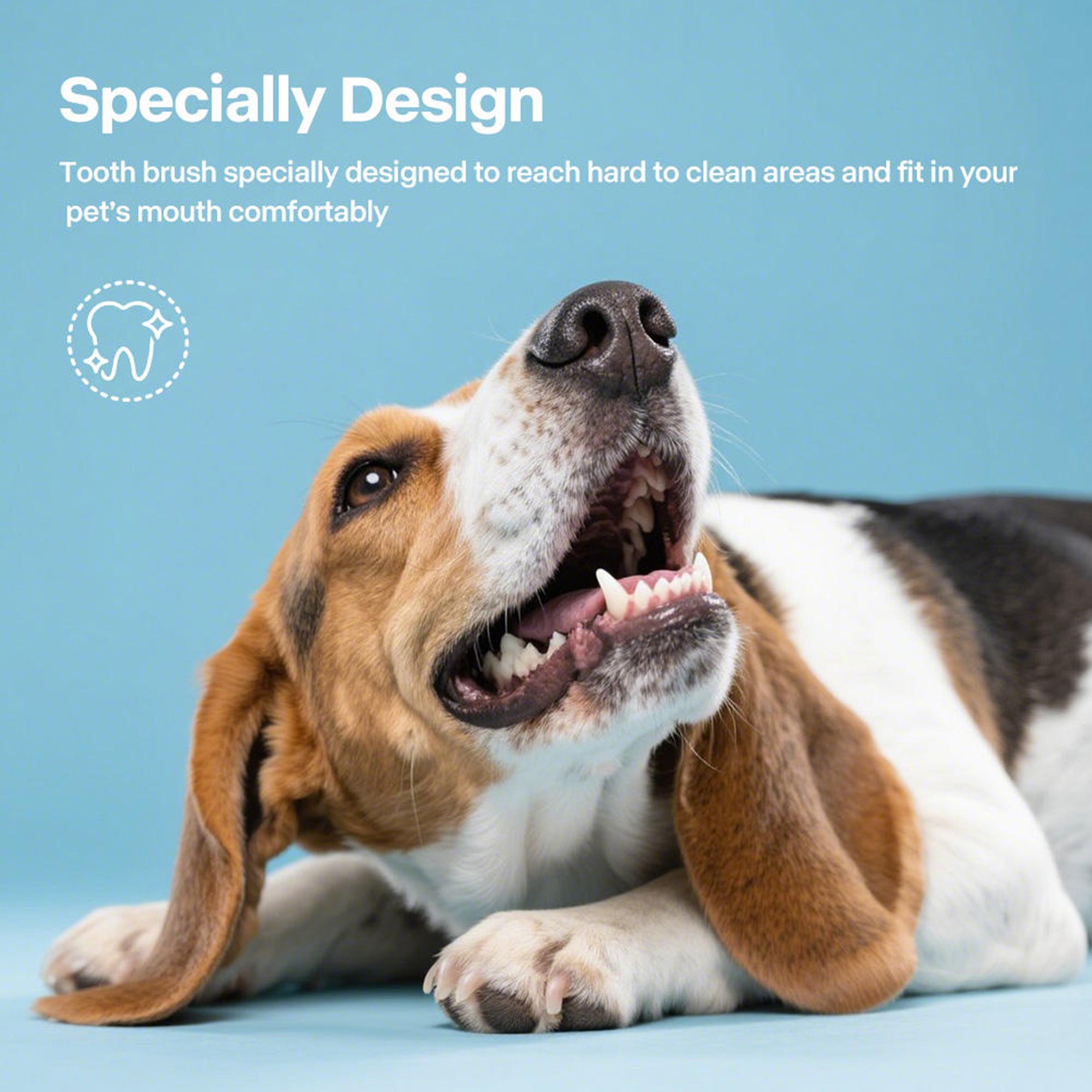 AFP(All For Paws) Pet Products