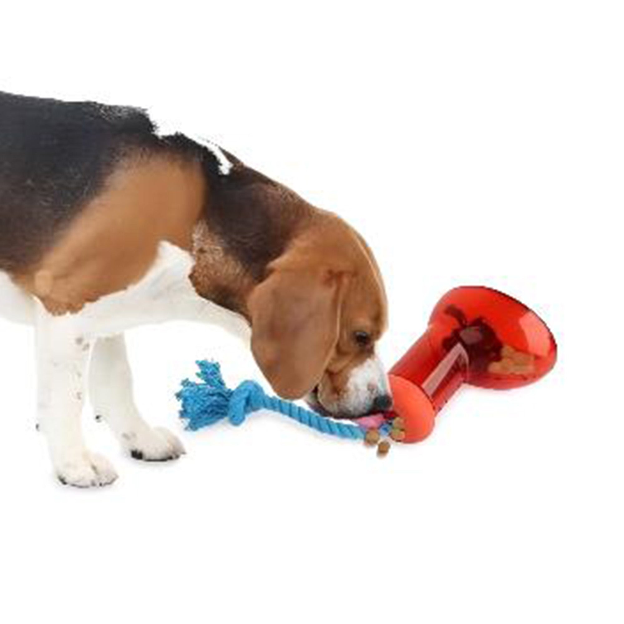 Doggies' Shoes - Dog Toys - Big boot dispenser