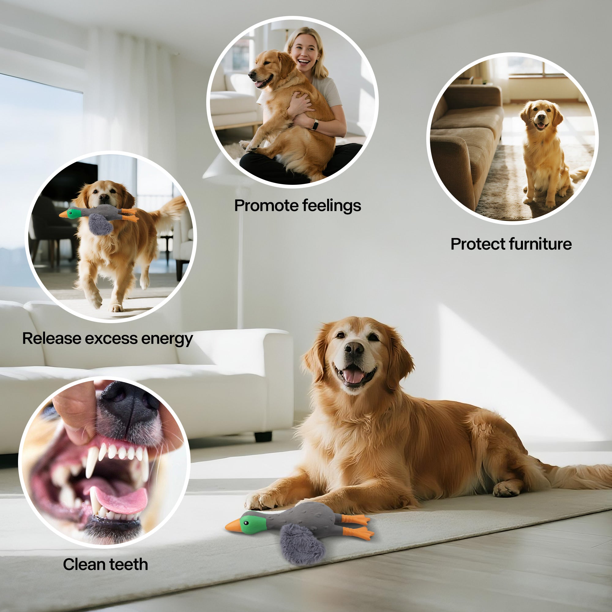 AFP(All For Paws) Pet Products
