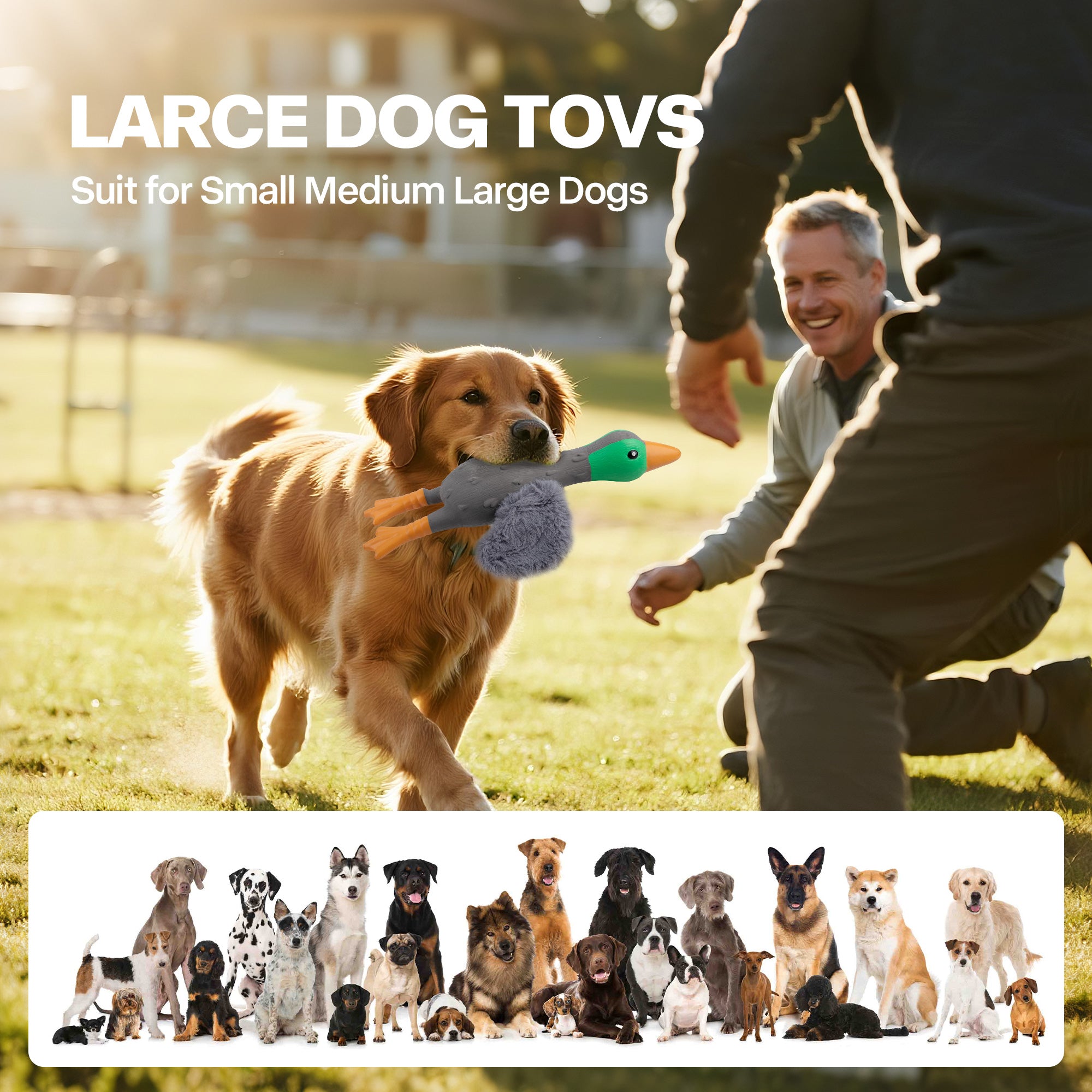 AFP(All For Paws) Pet Products