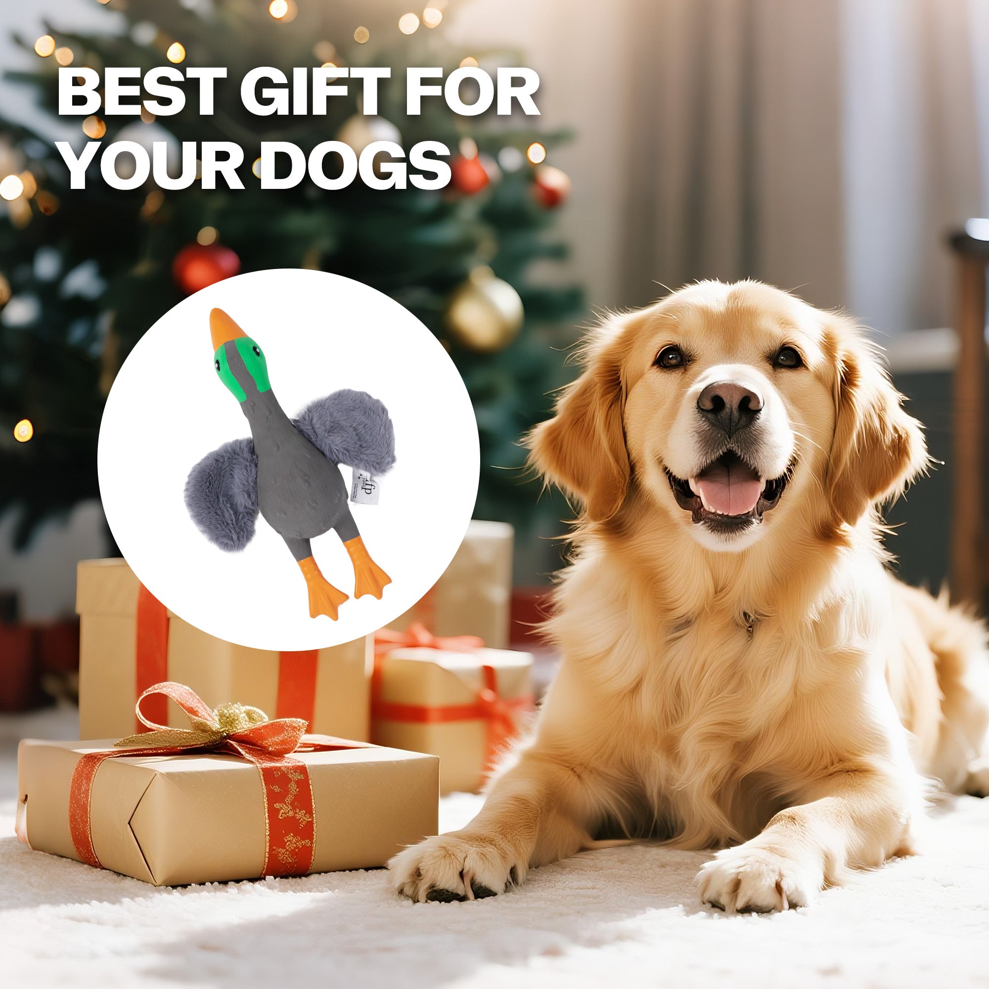 AFP(All For Paws) Pet Products